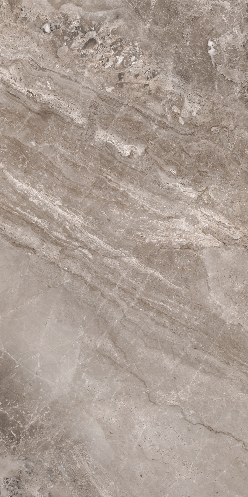 Nairobi Marble Polished Brown Porcelain Tile 60x120