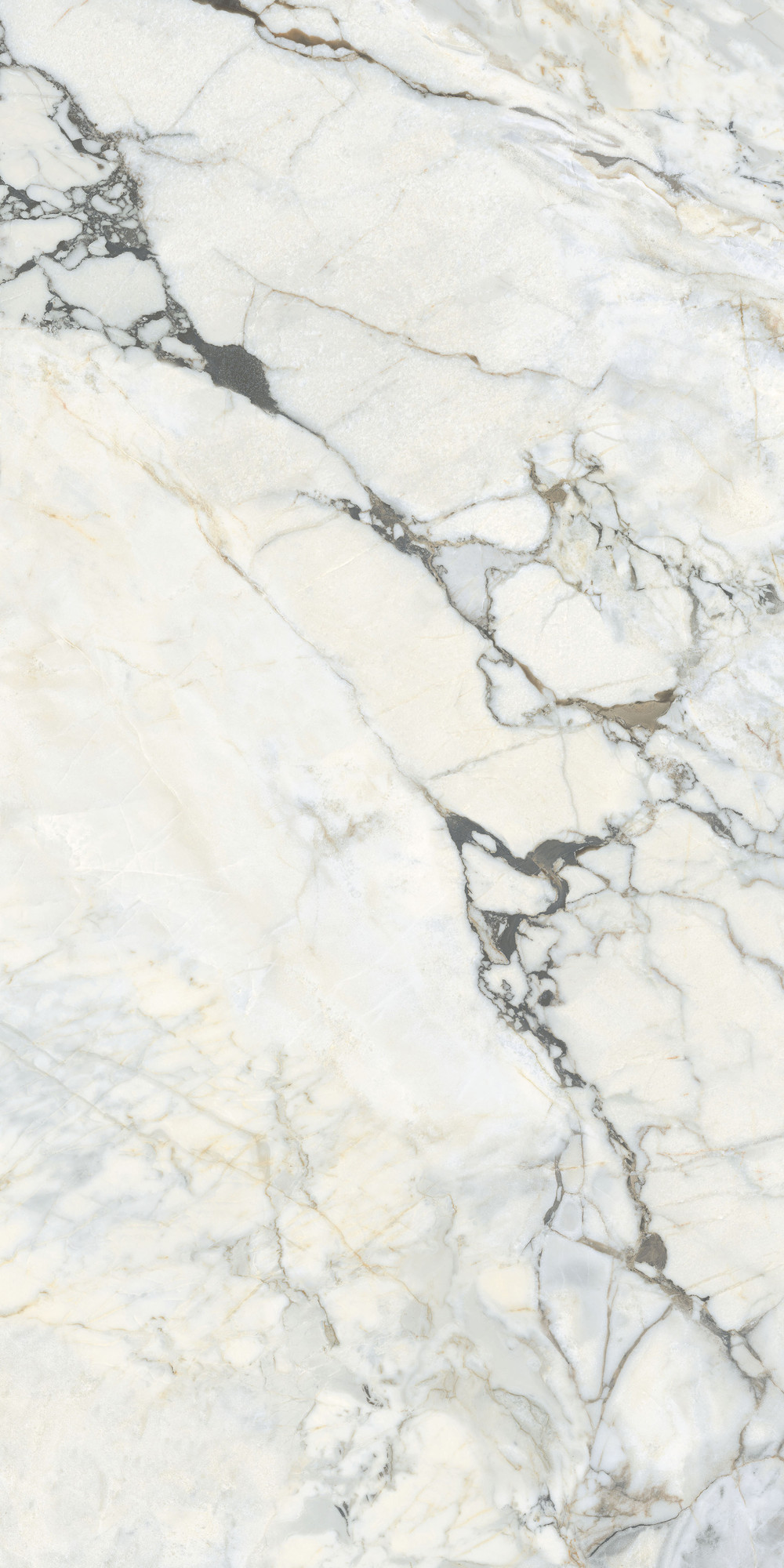 White Bovary Parlak Porselen Karo 60x120