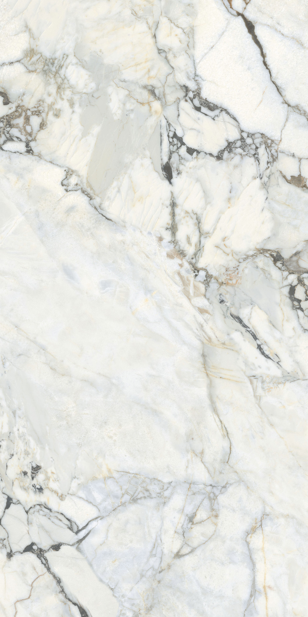 White Bovary Parlak Porselen Karo 60x120