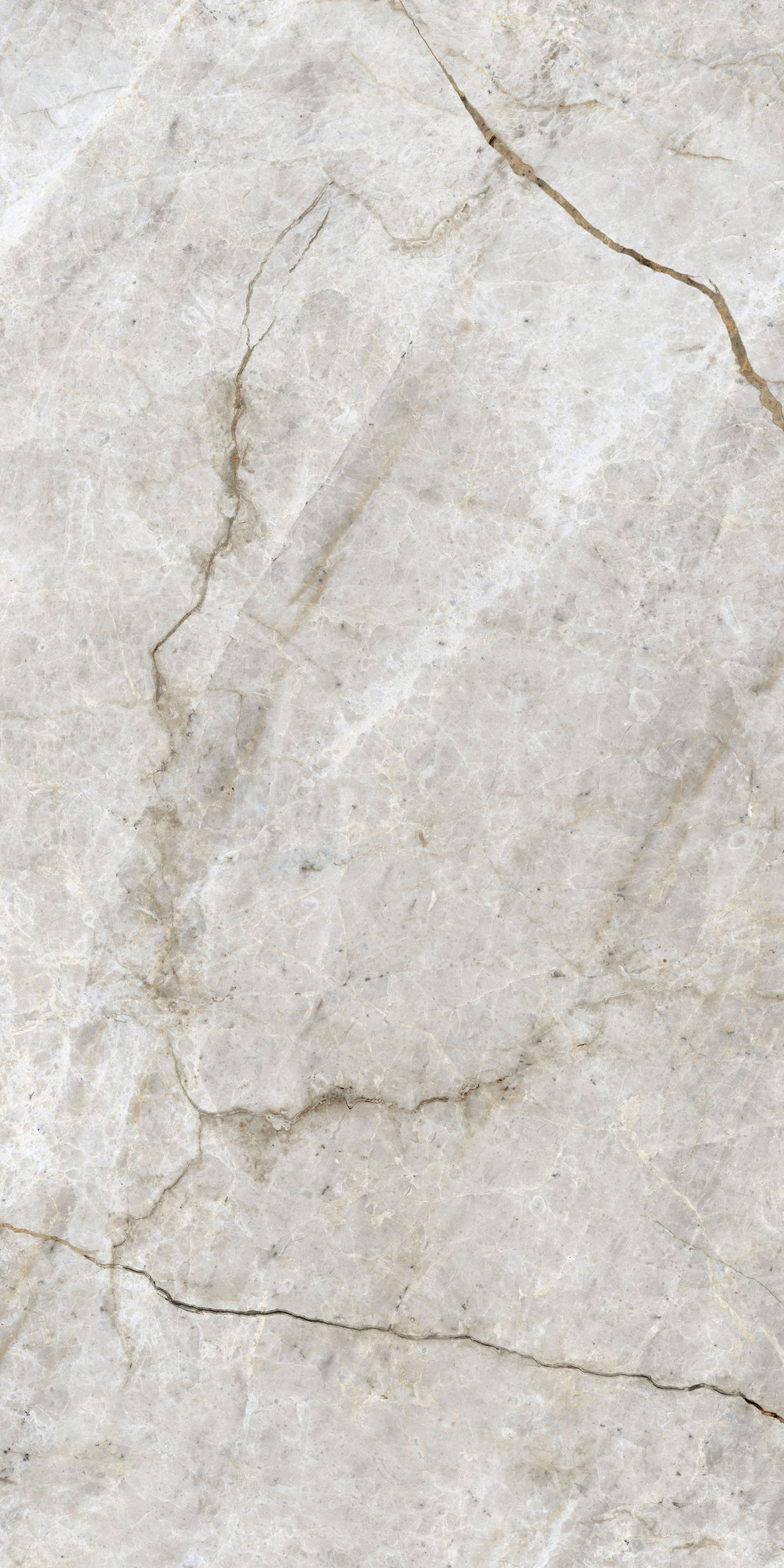 Bianco Persia Polished Porcelain Tile 60x120