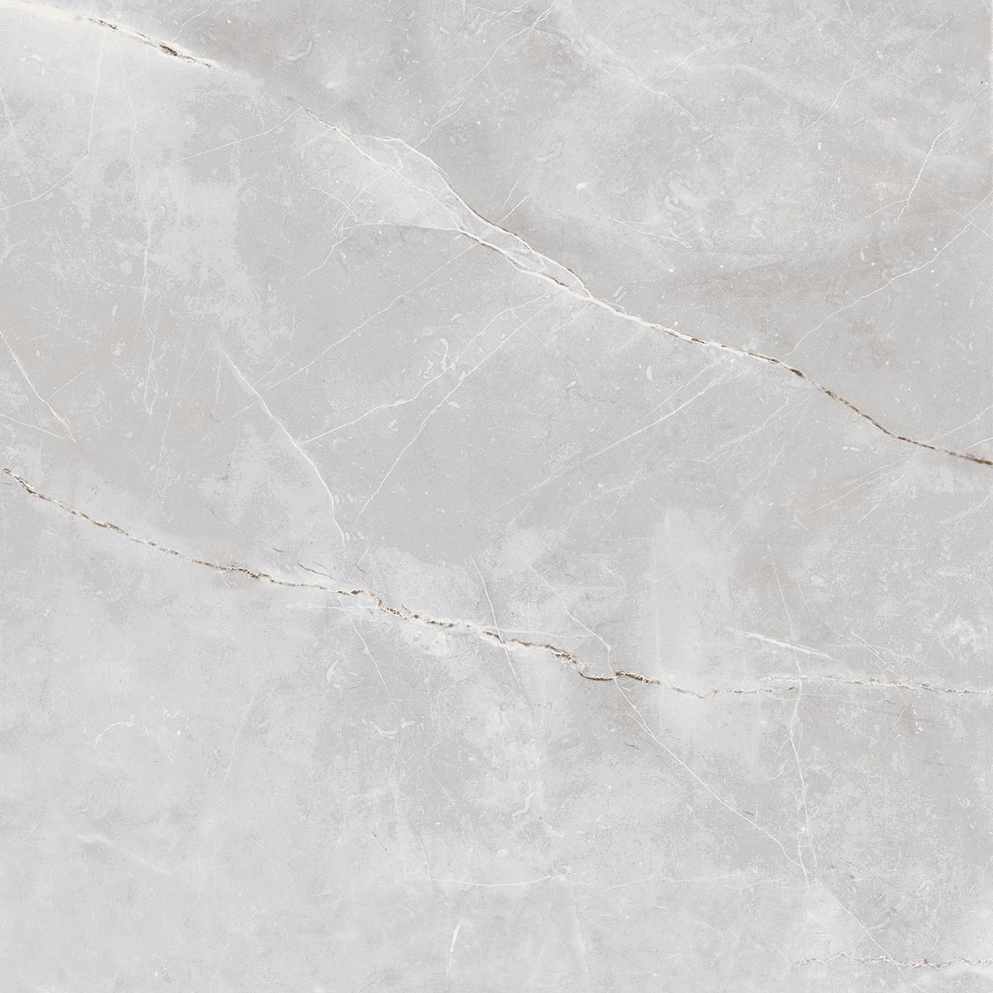 Asteya Matte Grey Floor Tile