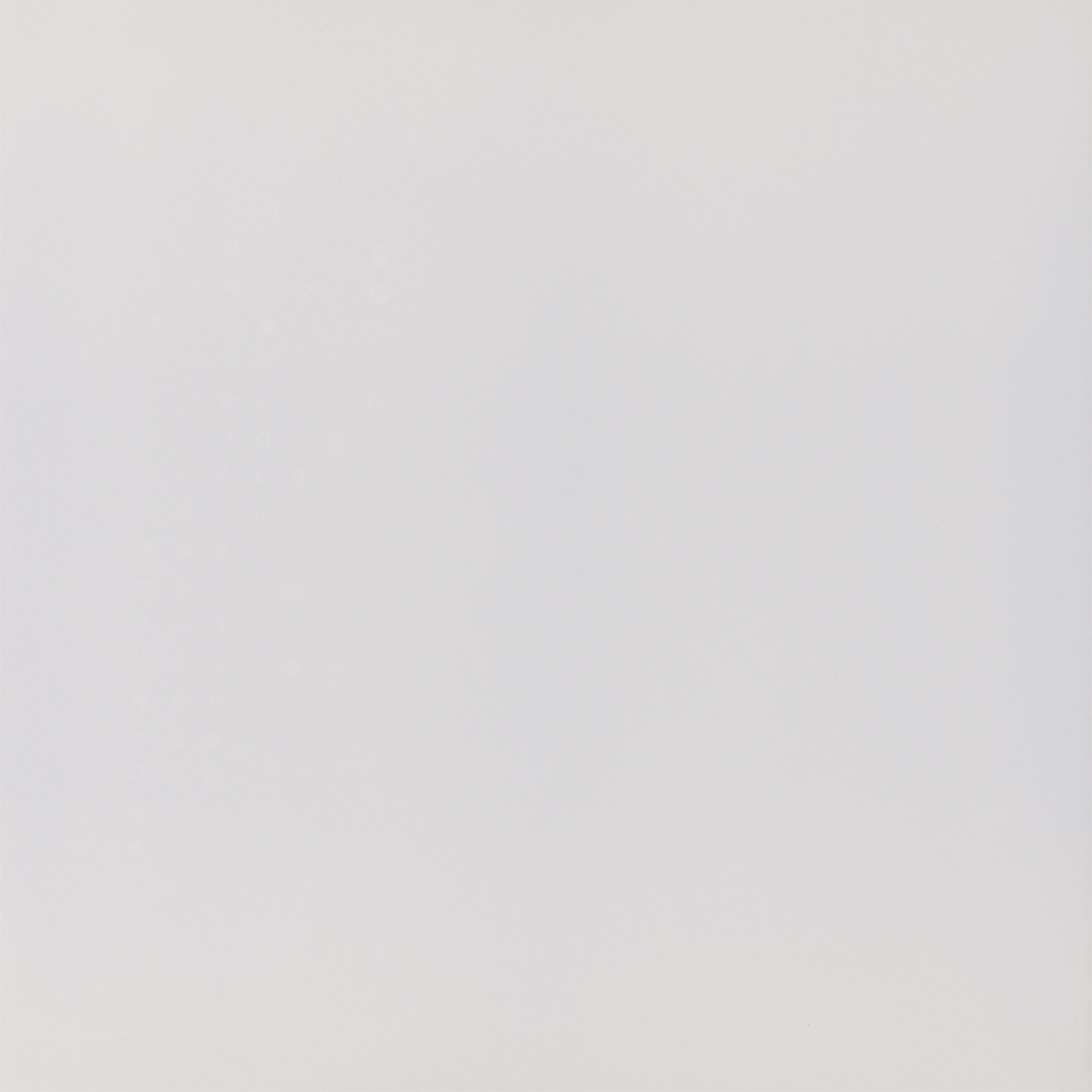 Code Polished Bone Floor Tile