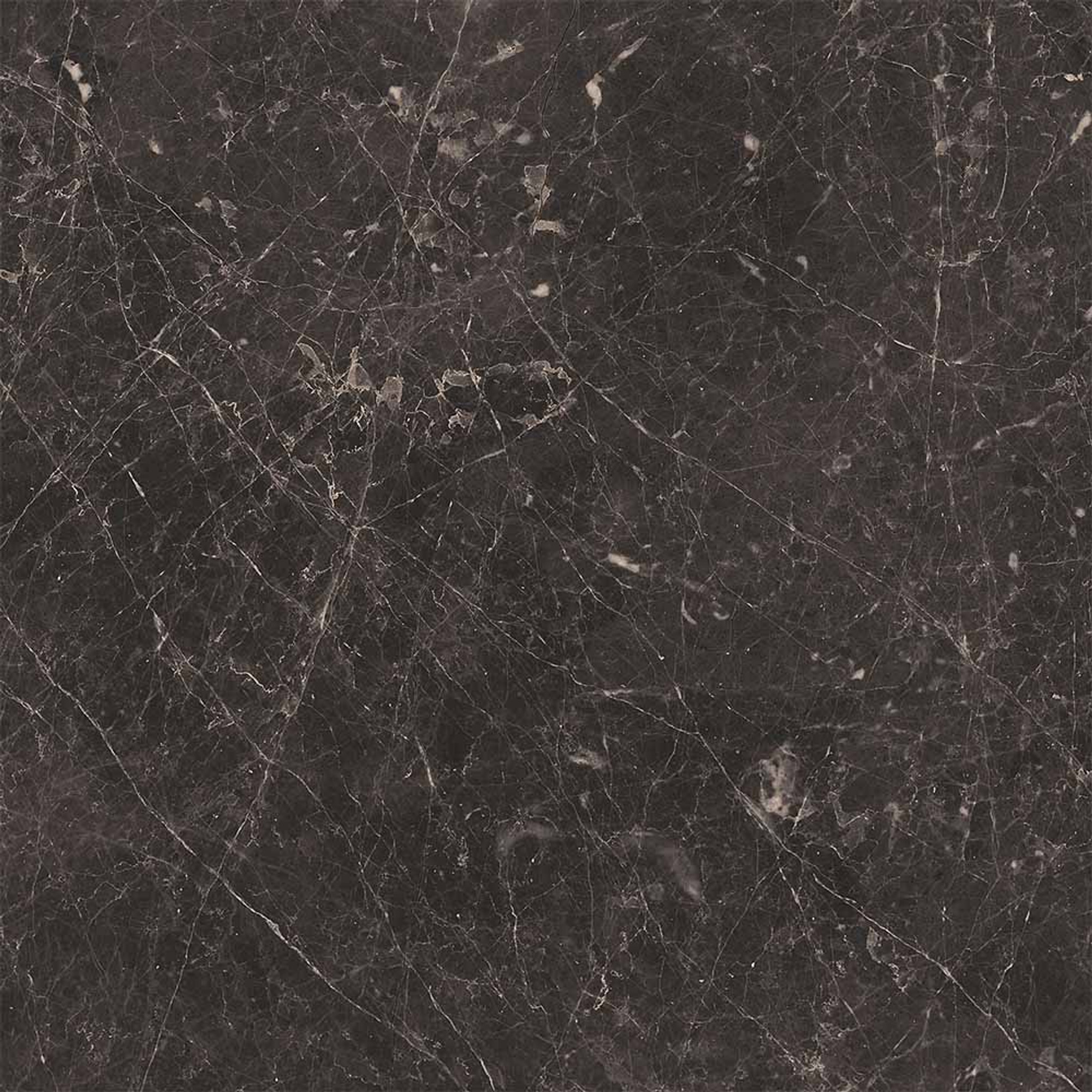 Adore Polished Anthracite Floor Tile