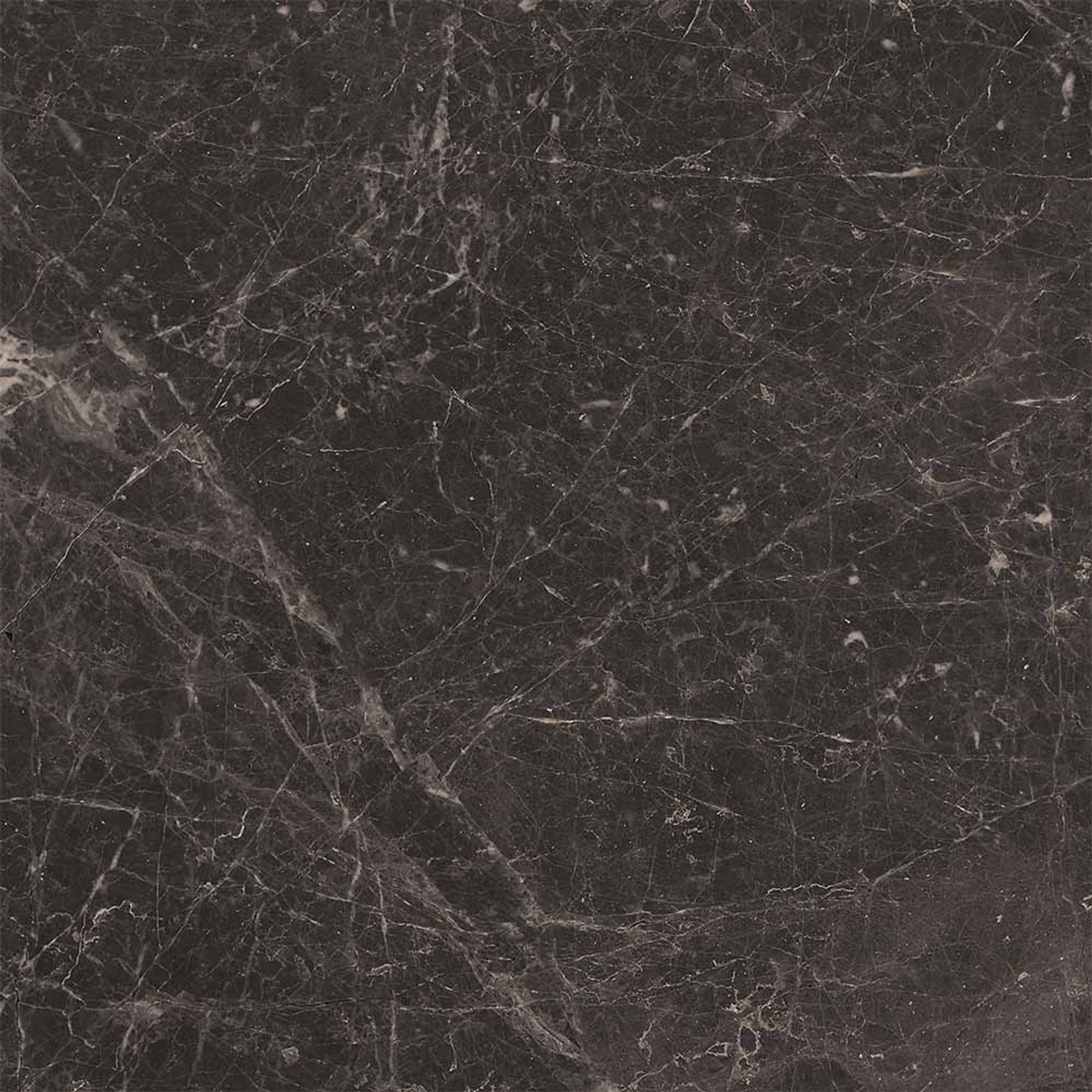 Adore Polished Anthracite Floor Tile