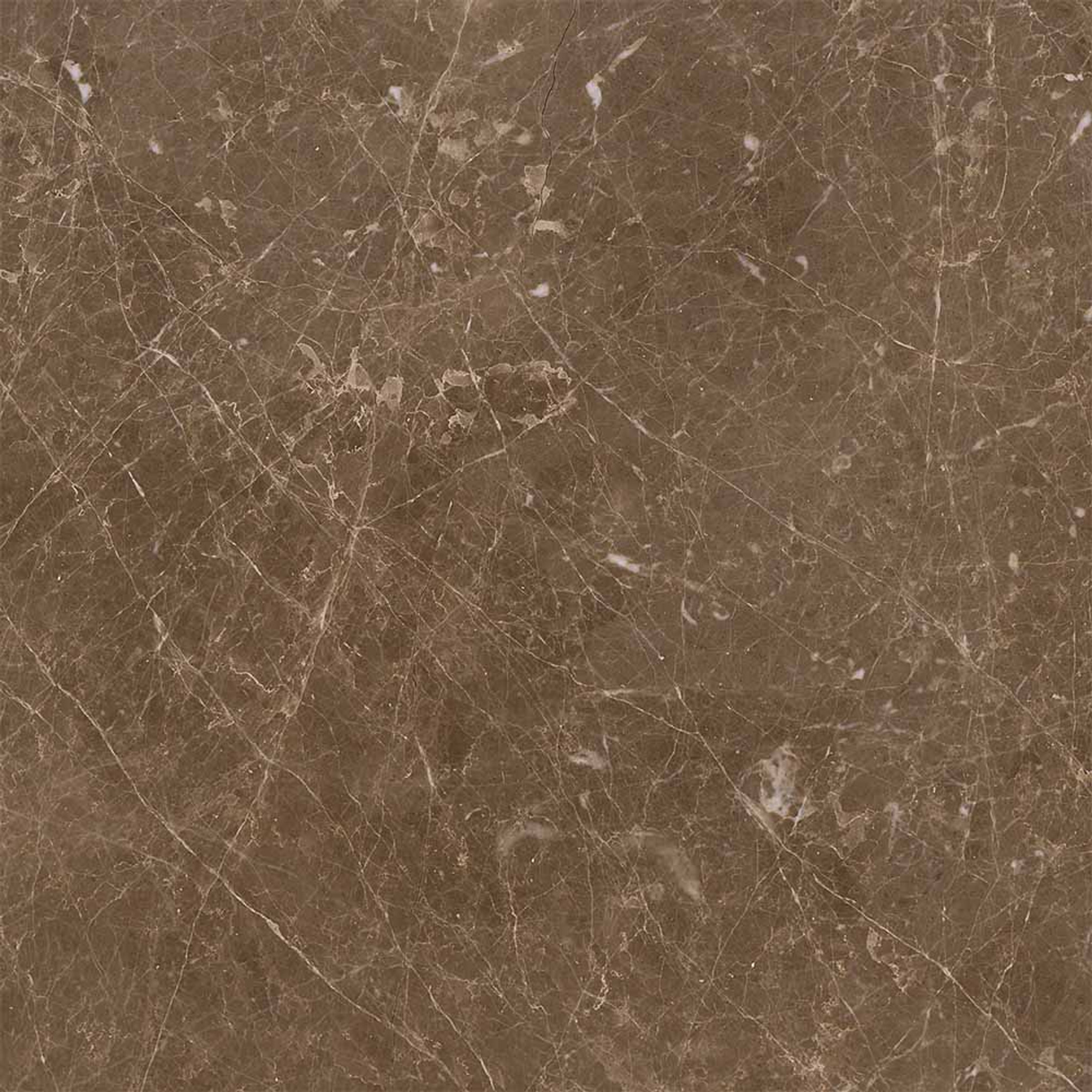 Adore Polished Brown Floor Tile