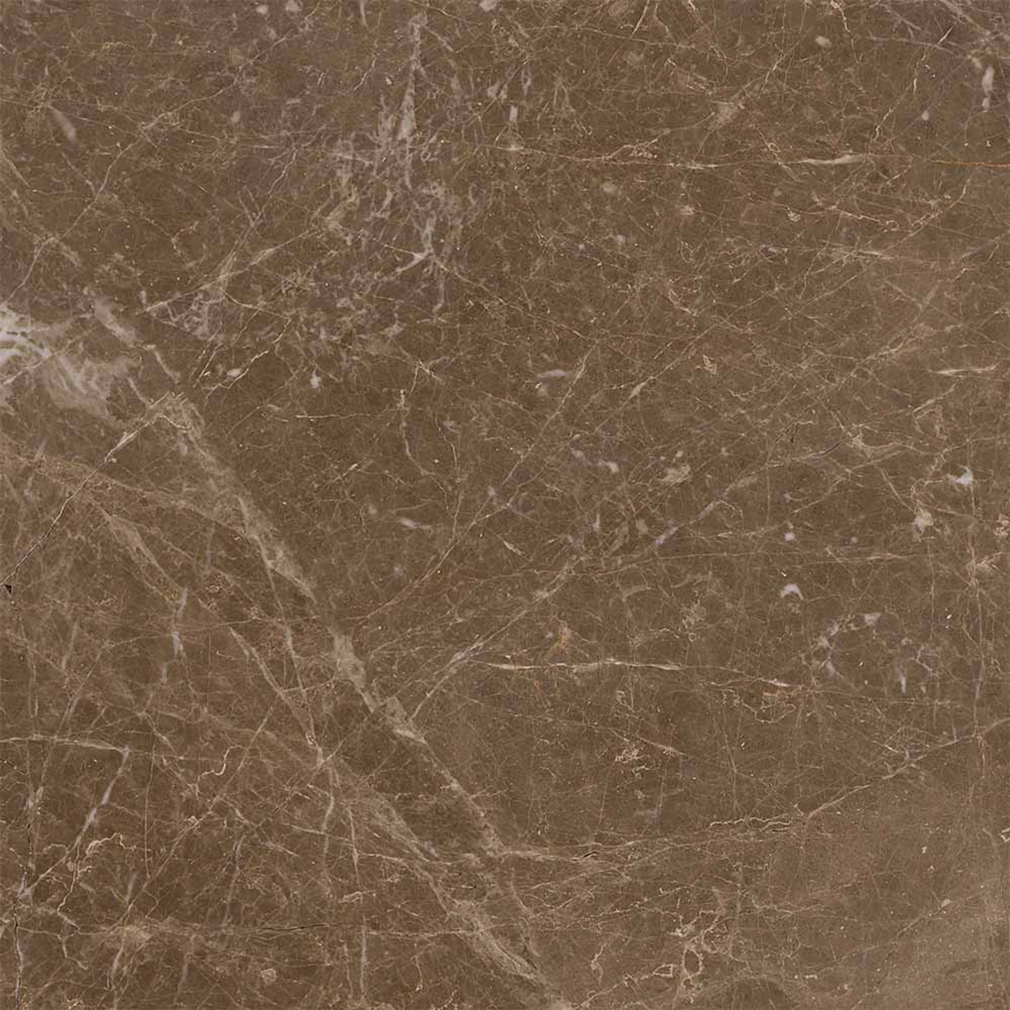 Adore Polished Brown Floor Tile