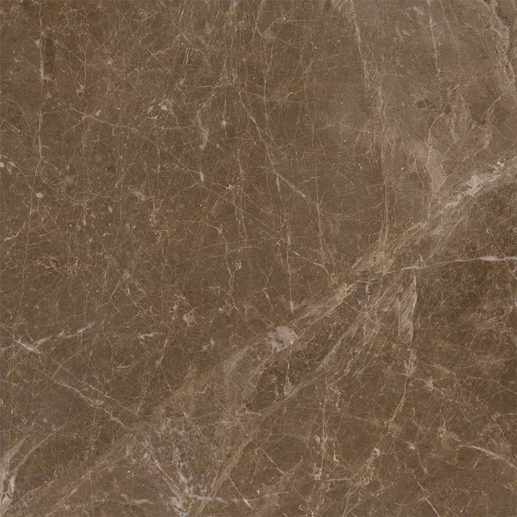 Adore Polished Brown Floor Tile