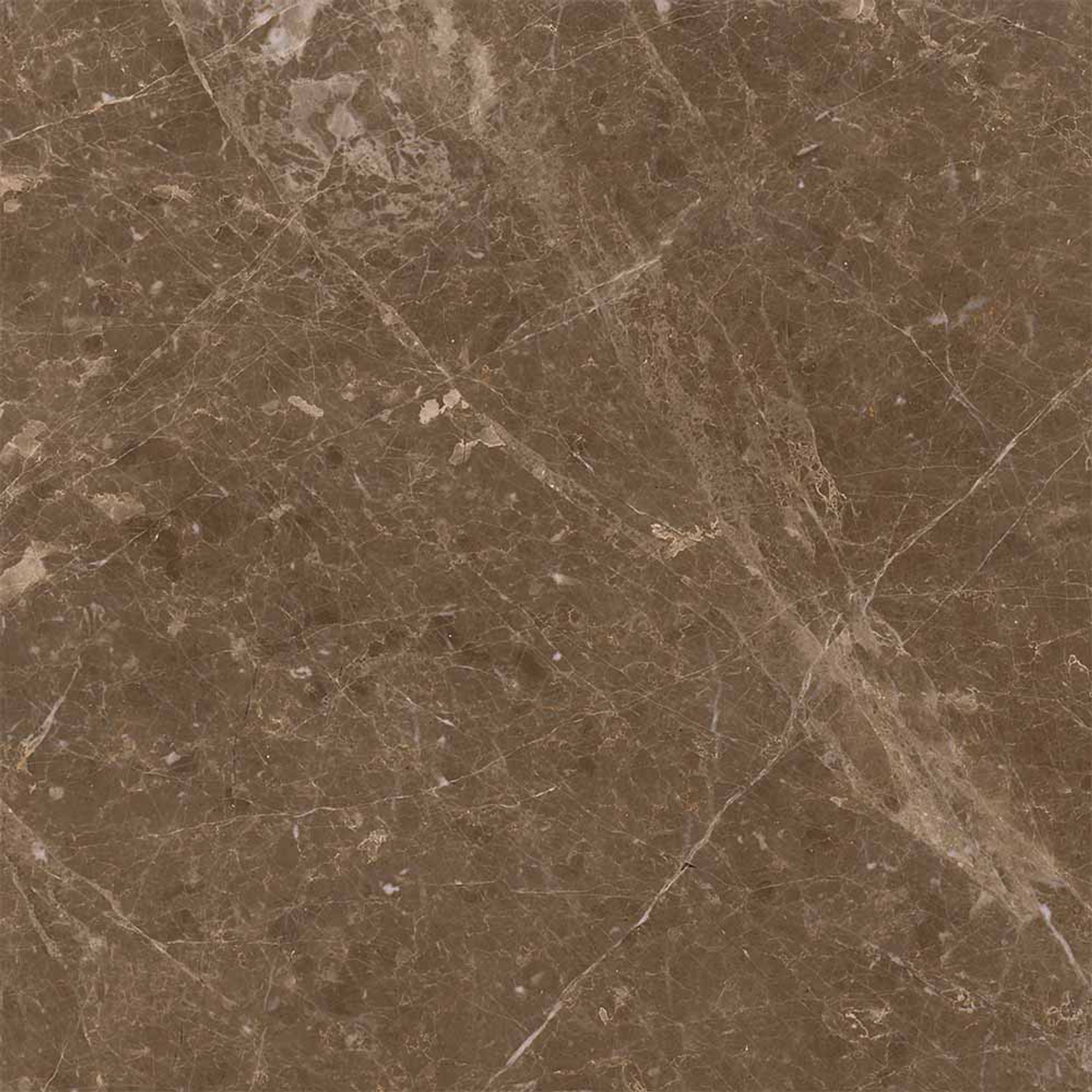 Adore Polished Brown Floor Tile