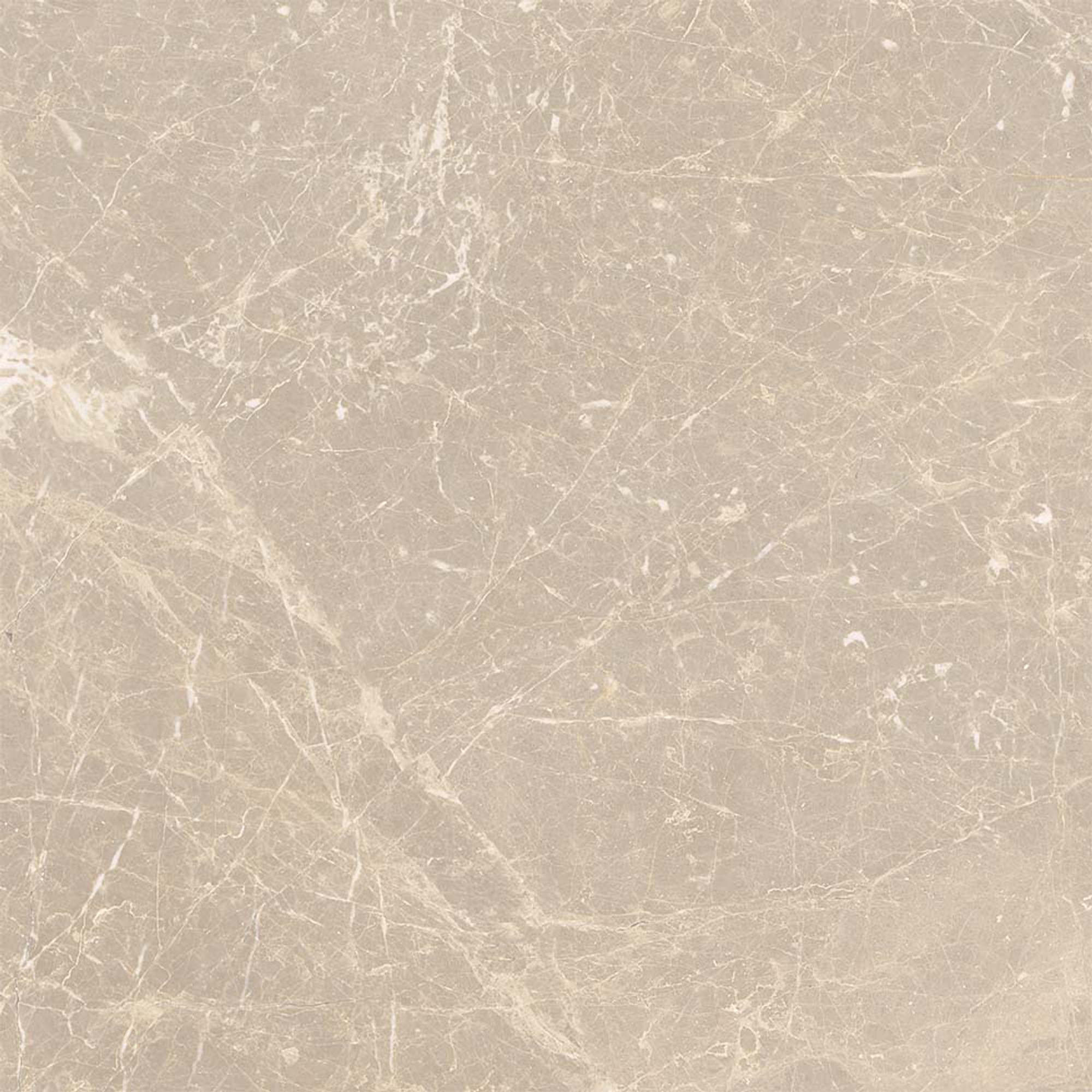 Adore Polished Mink Floor Tile