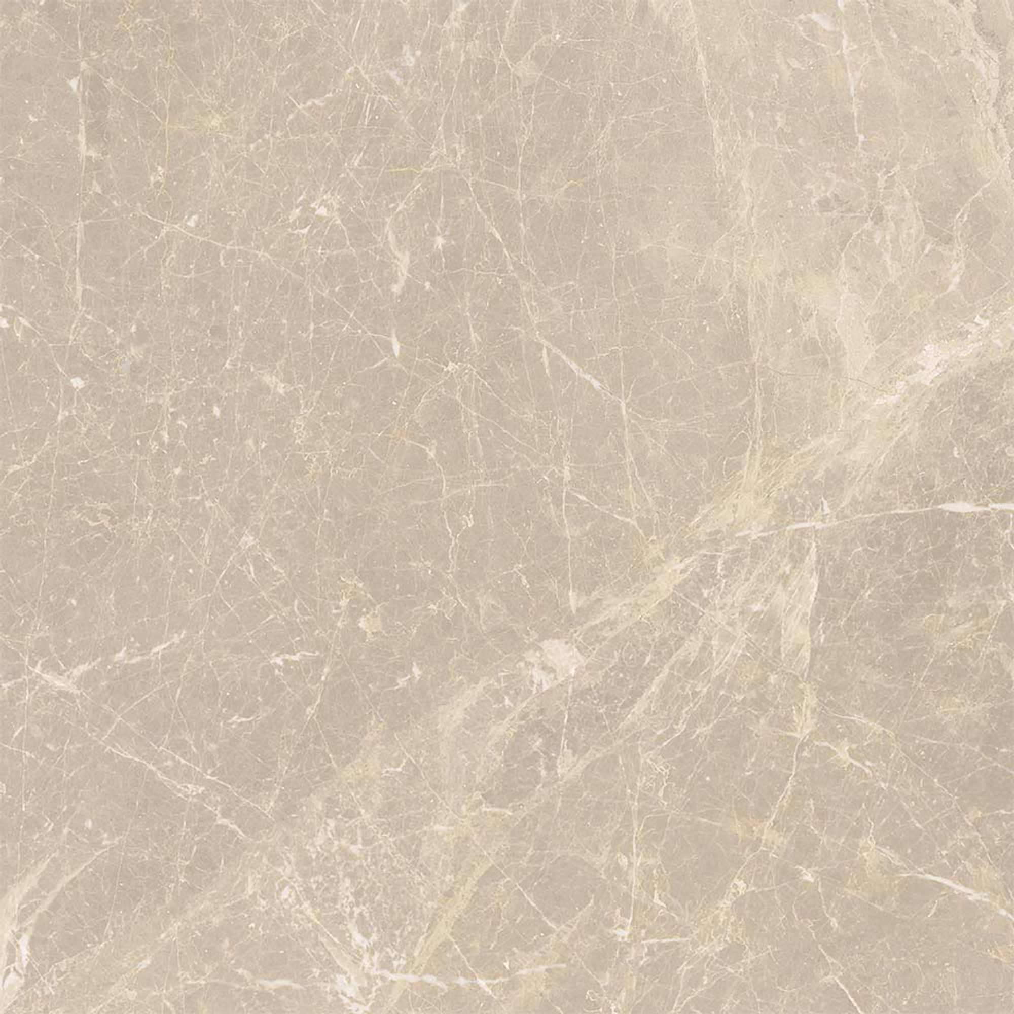 Adore Polished Mink Floor Tile