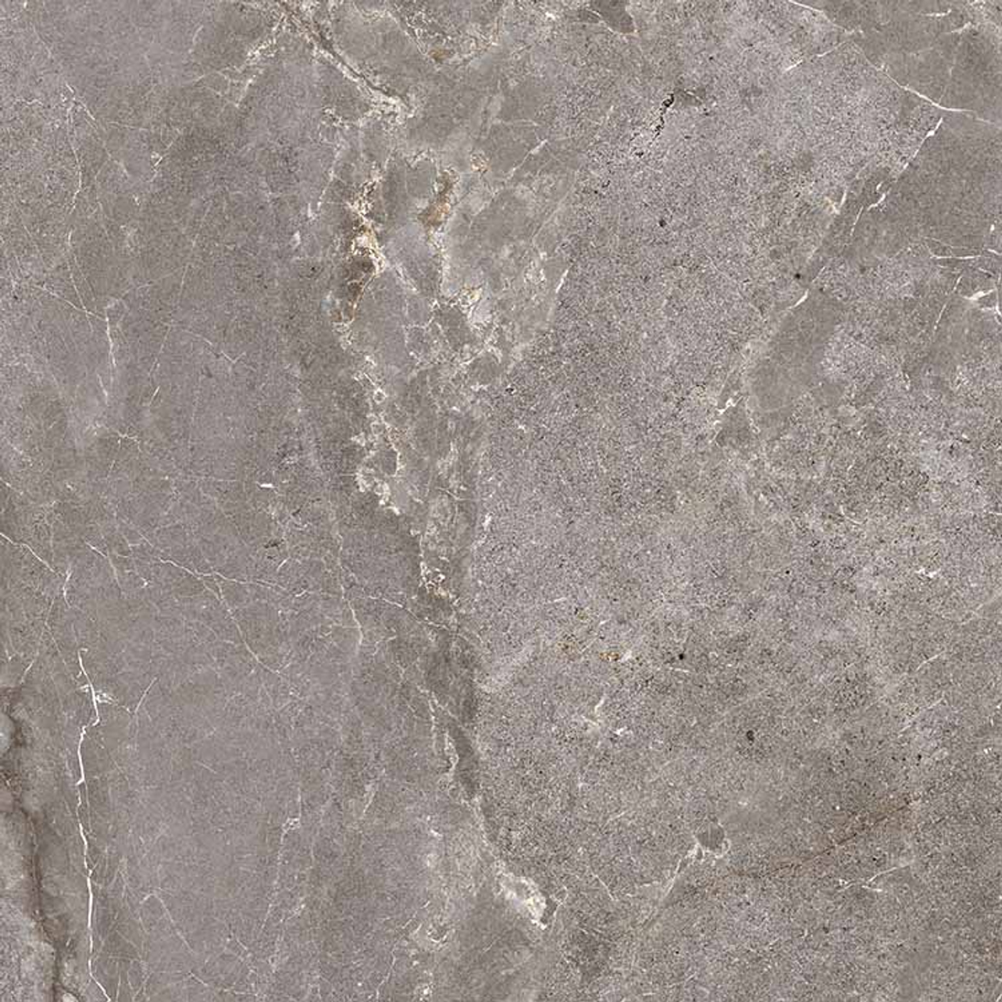 Salvia Polished Grey Glazed Granite