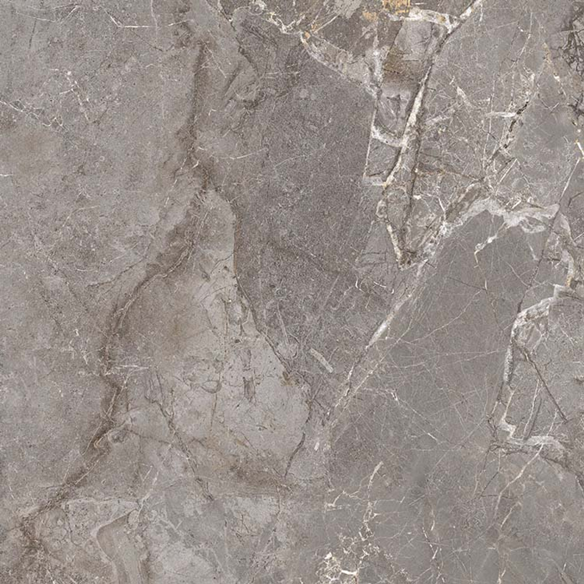 Salvia Polished Grey Glazed Granite