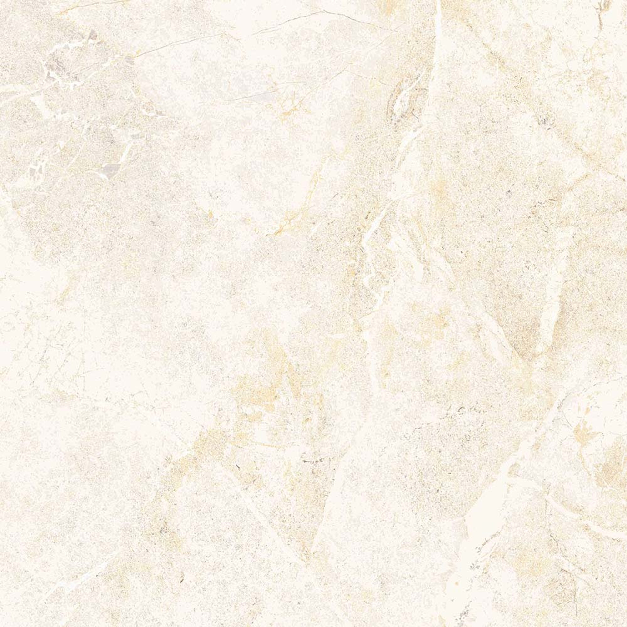 Salvia Polished Bone Glazed Granite