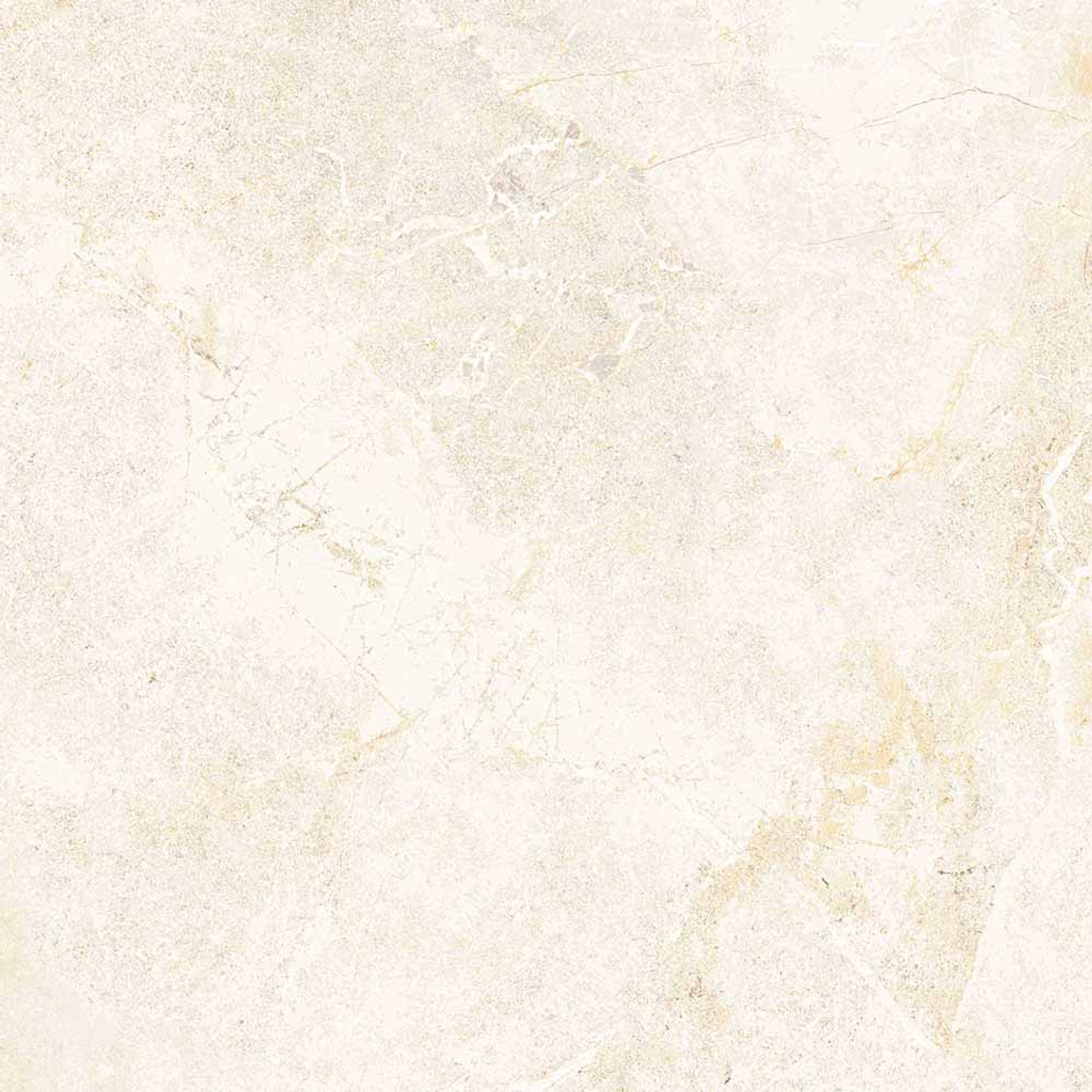 Salvia Polished Bone Glazed Granite