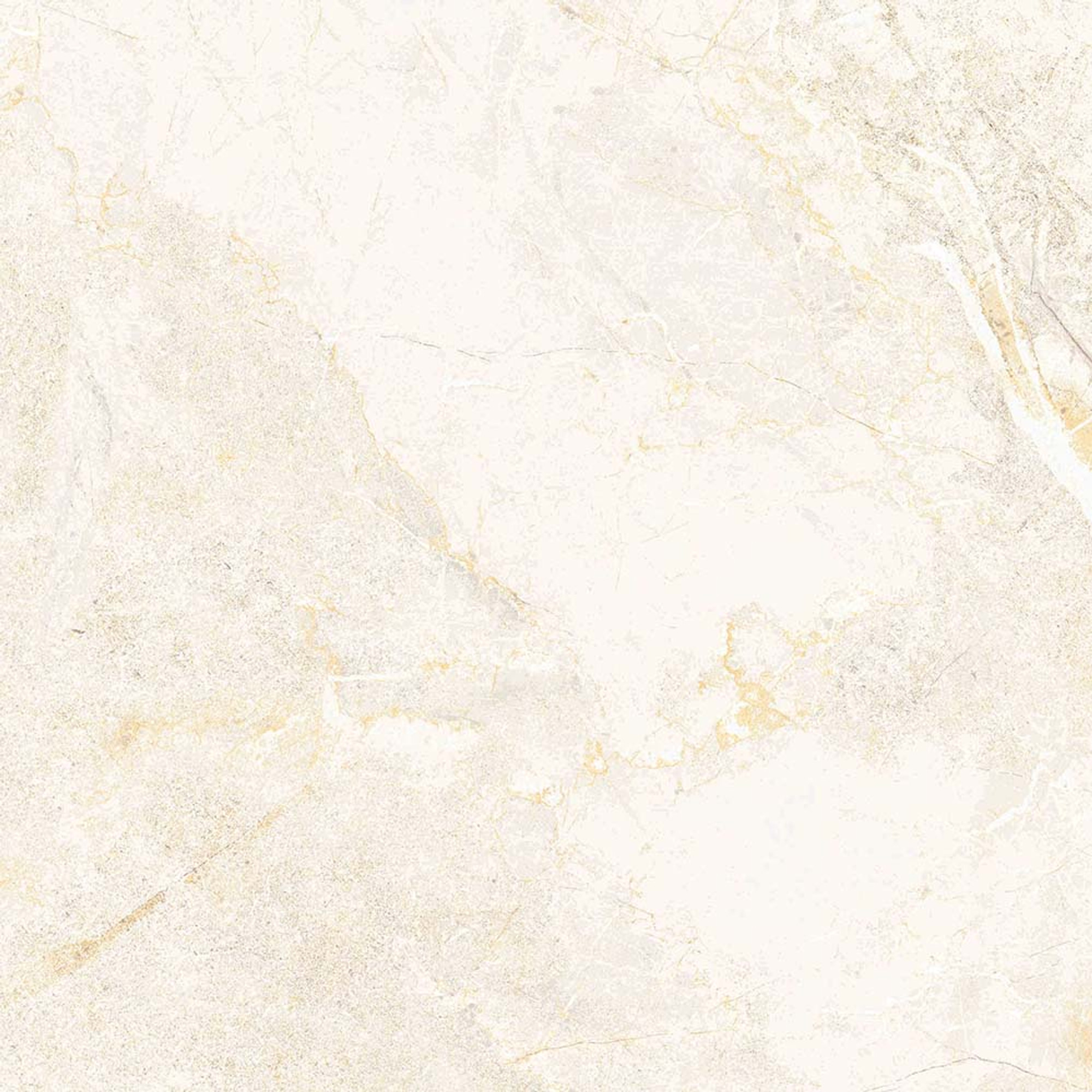 Salvia Polished Bone Glazed Granite