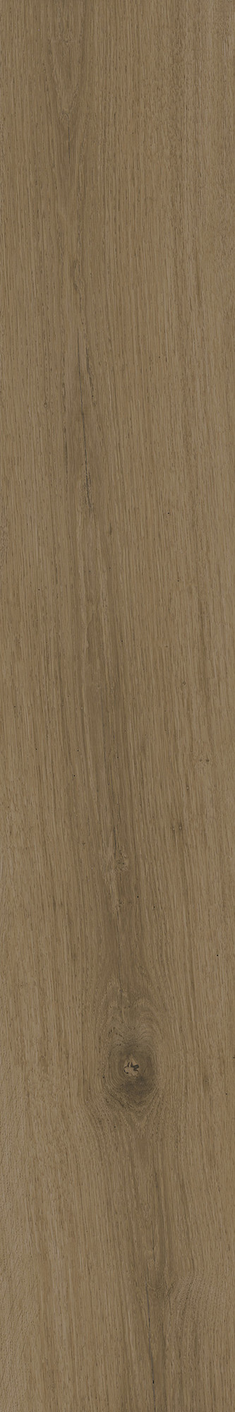 Uddo Matte Walnut Glazed Granite