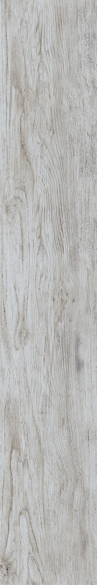 Letavole Matte Grey Glazed Granite
