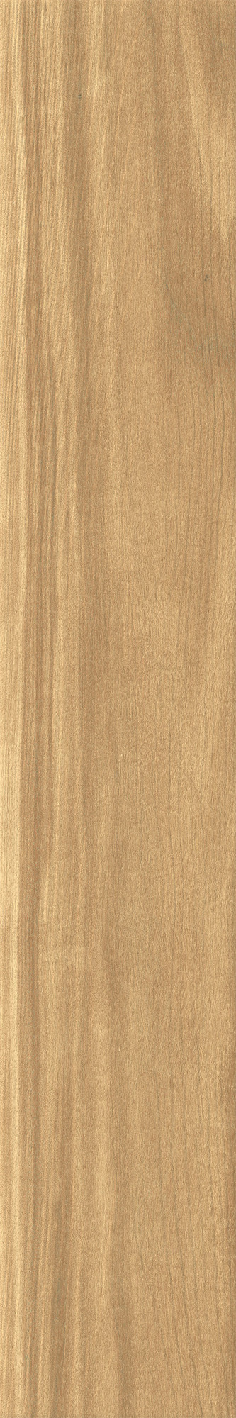 Noce Italiano Matte Beige Glazed Granite