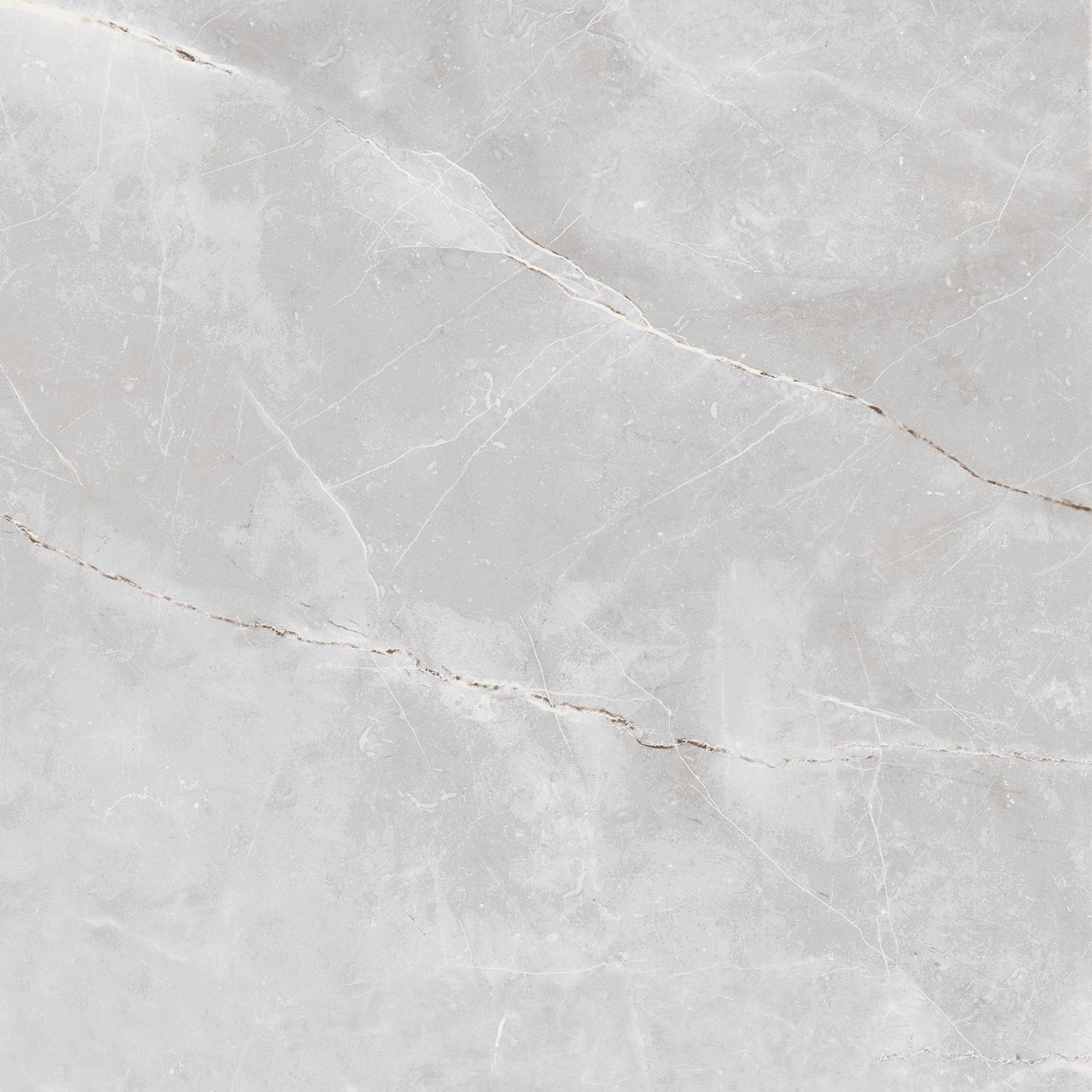 Asteya Matte Grey Floor Tile