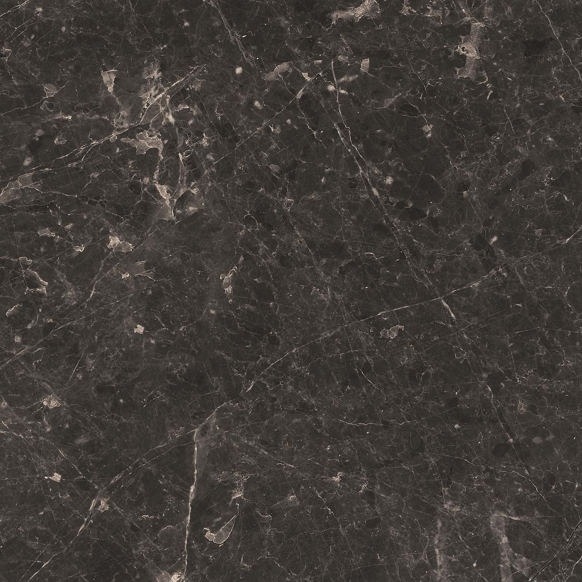 Adore Matte Anthracite Floor Tile