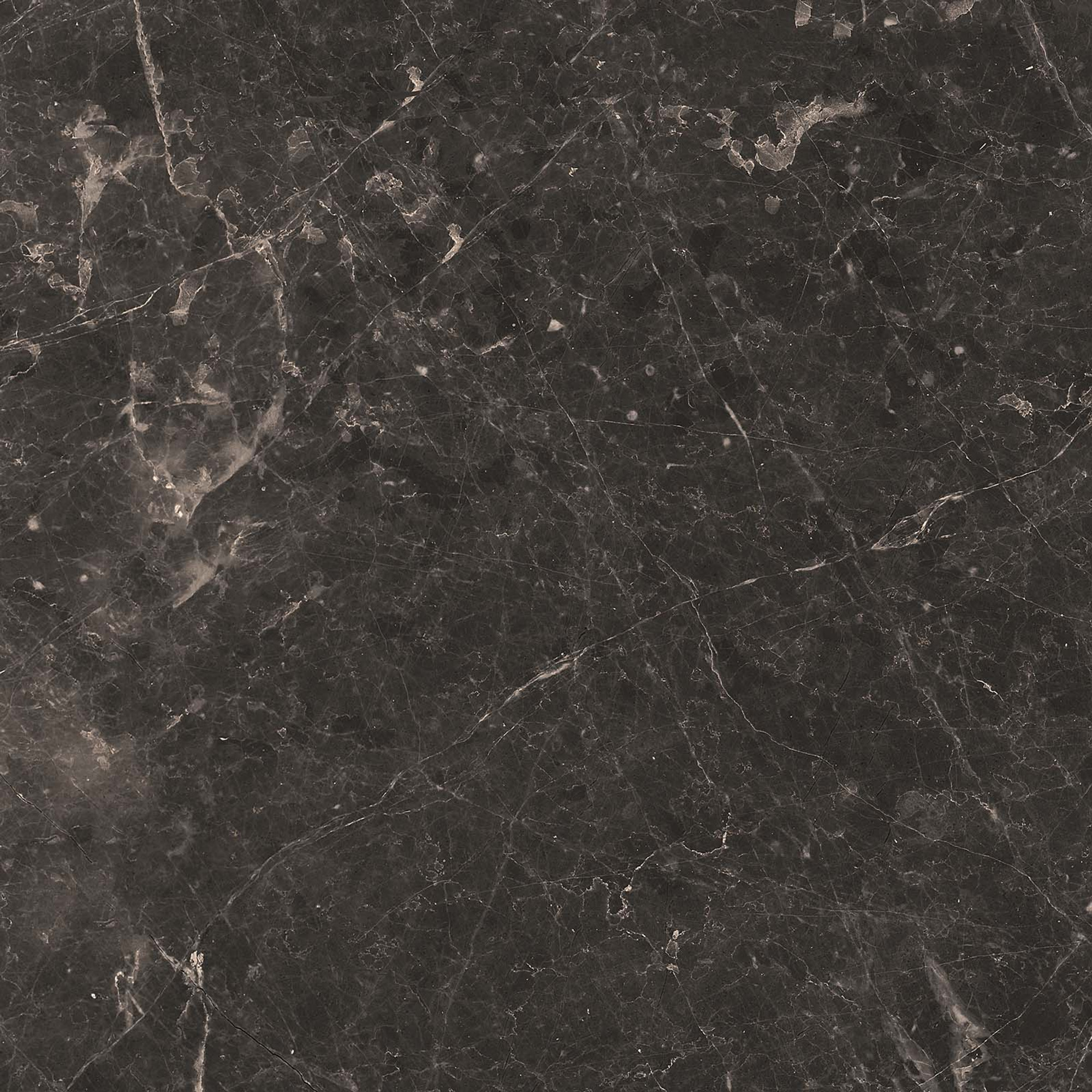 Adore Matte Anthracite Floor Tile