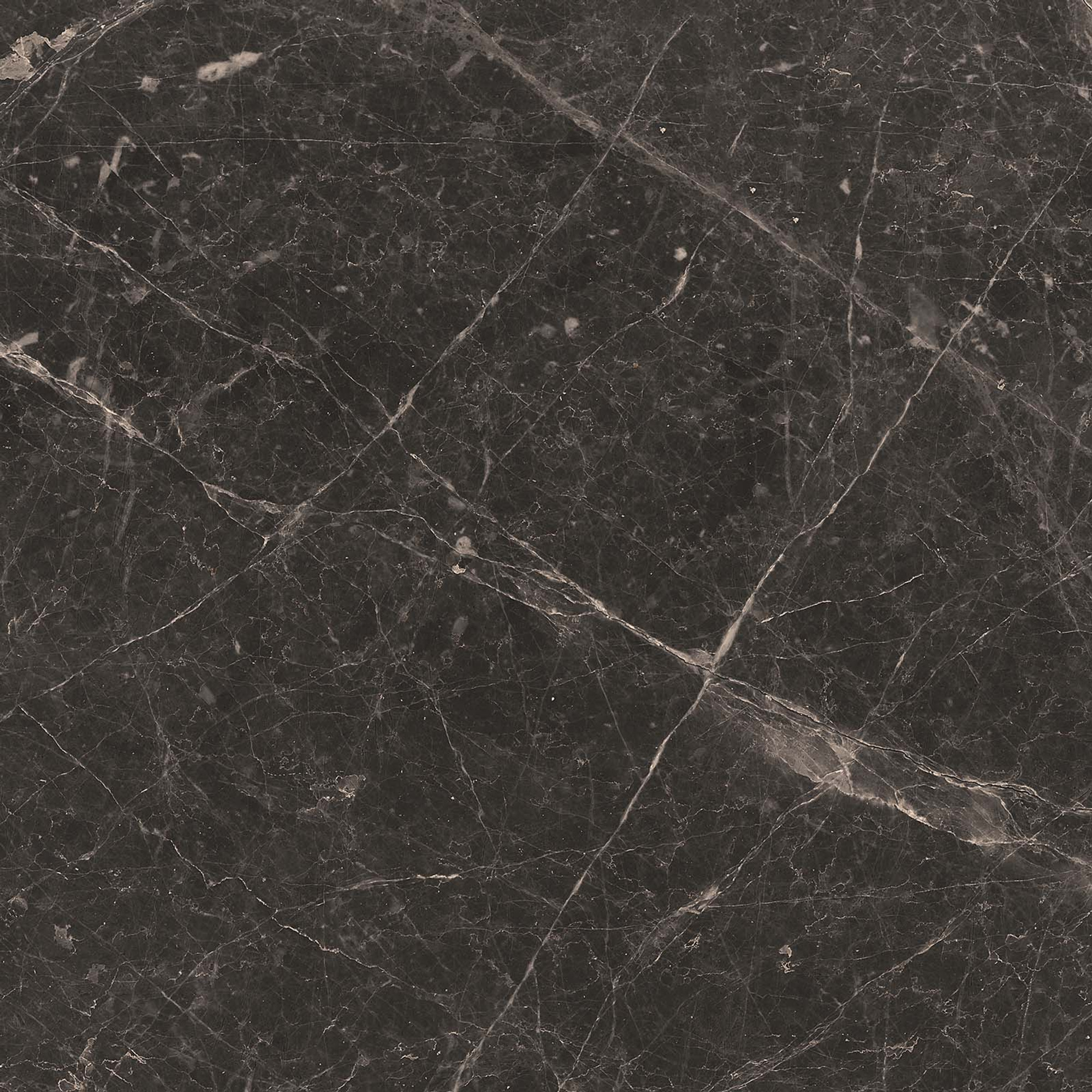 Adore Matte Anthracite Floor Tile