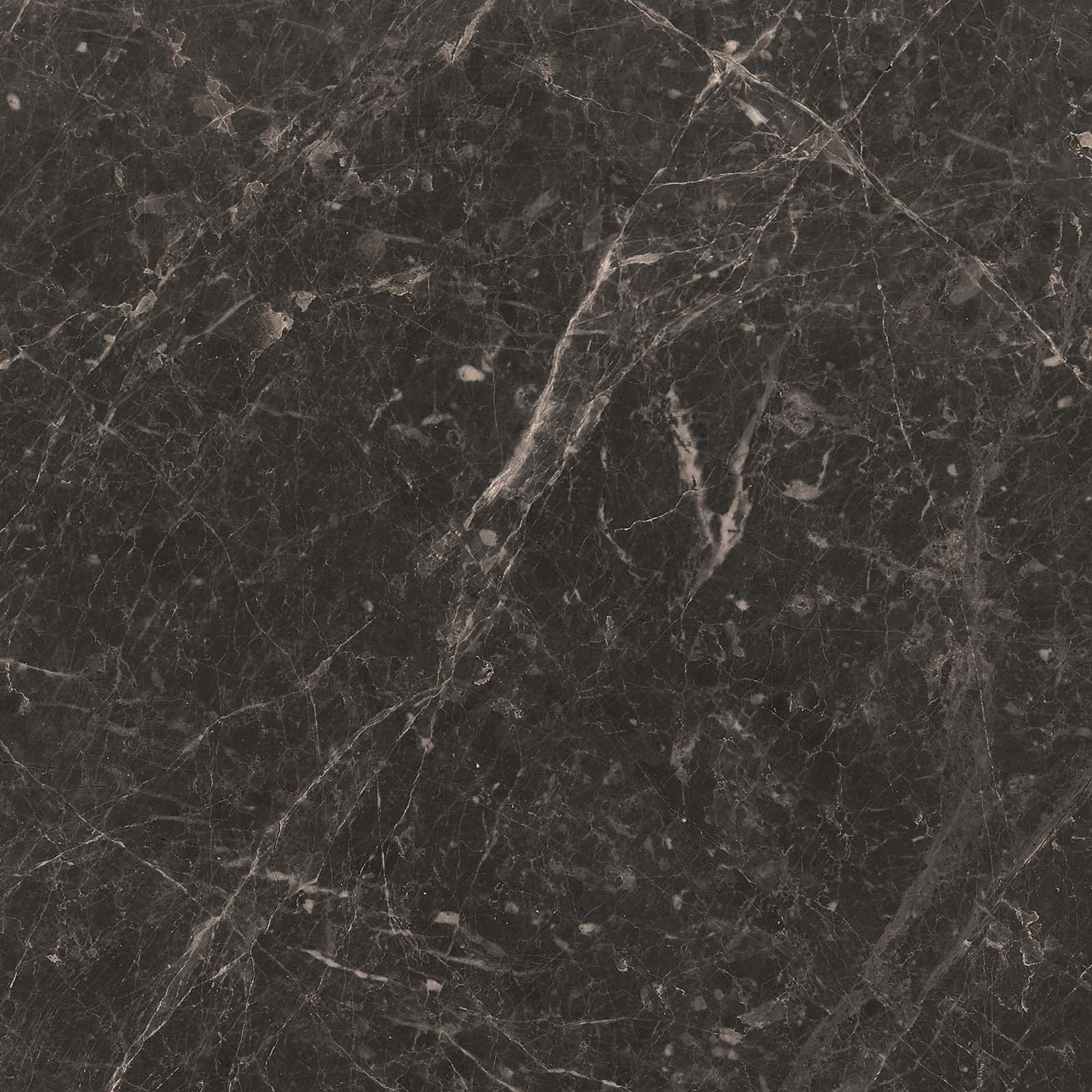 Adore Matte Anthracite Floor Tile