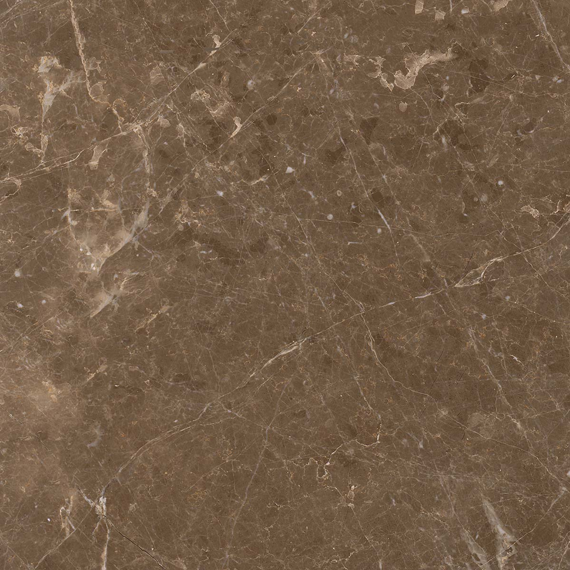 Adore Matte Brown Floor Tile