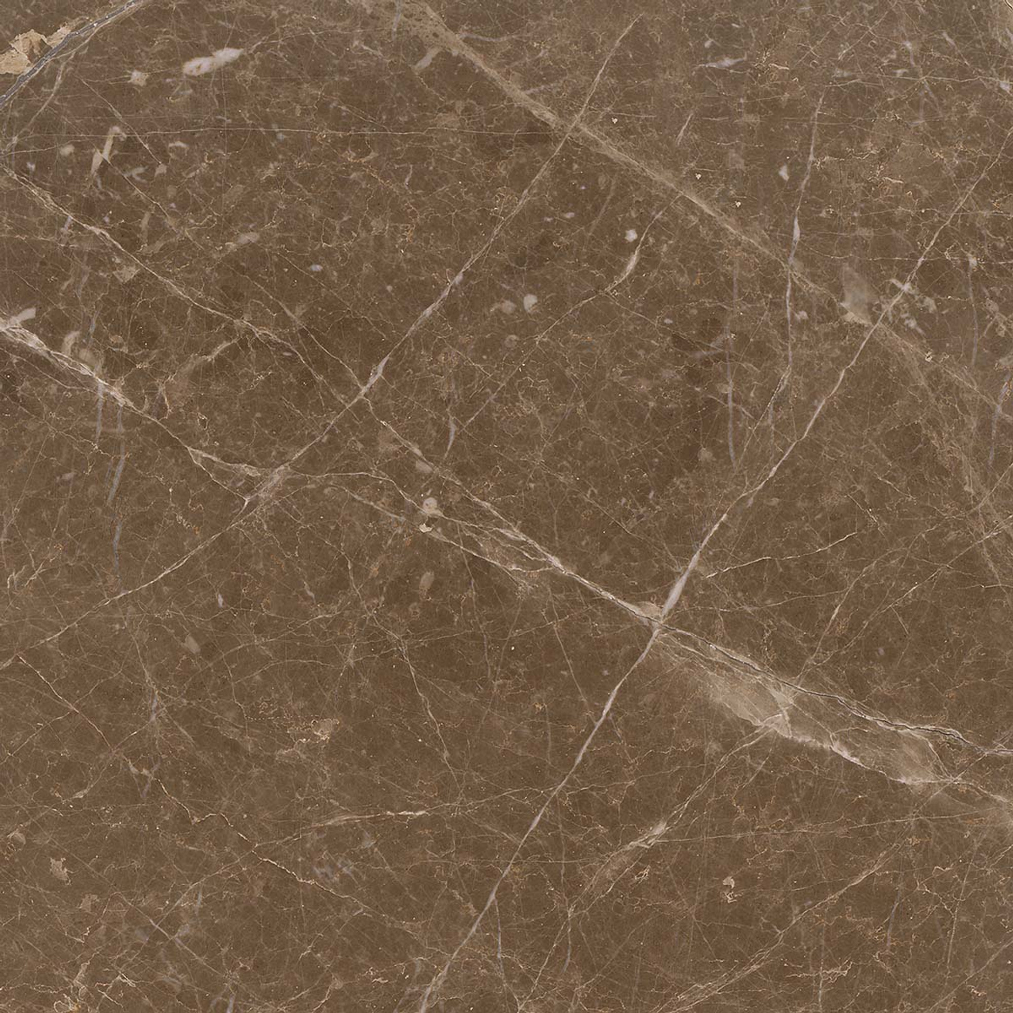 Adore Matte Brown Floor Tile