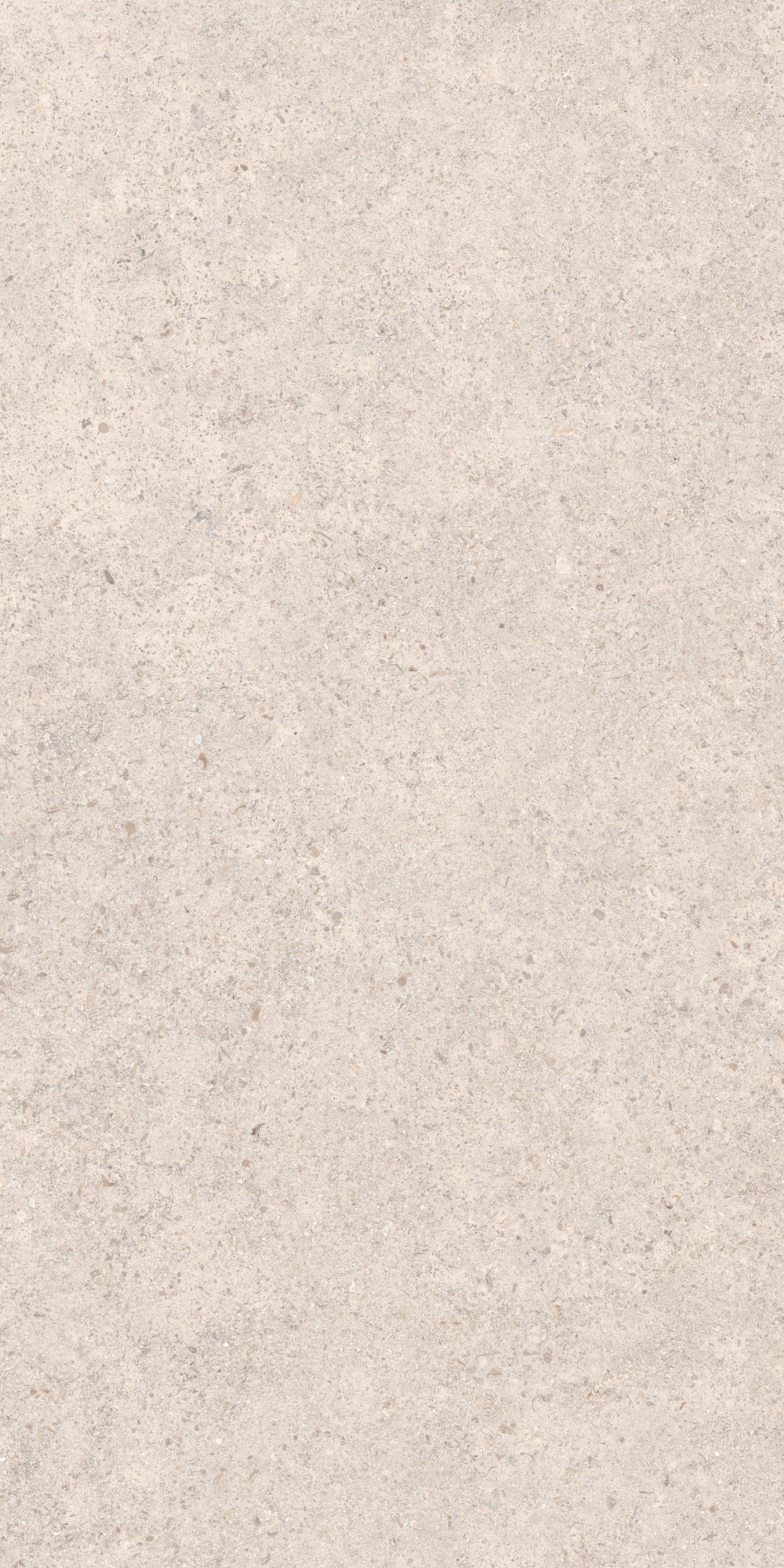 Calcario Collection Matte Light Grey Beige Porcelain Tile