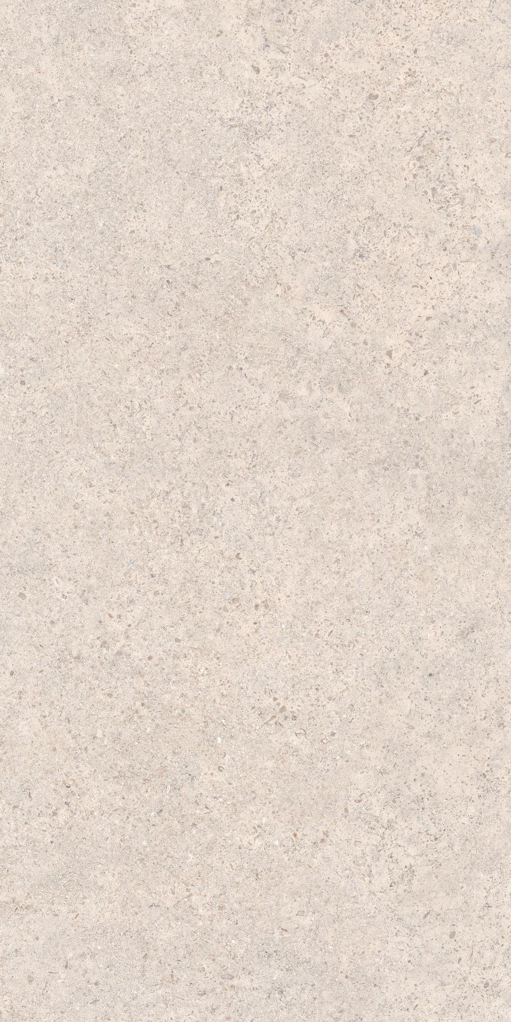 Calcario Collection Matte Light Grey Beige Porcelain Tile