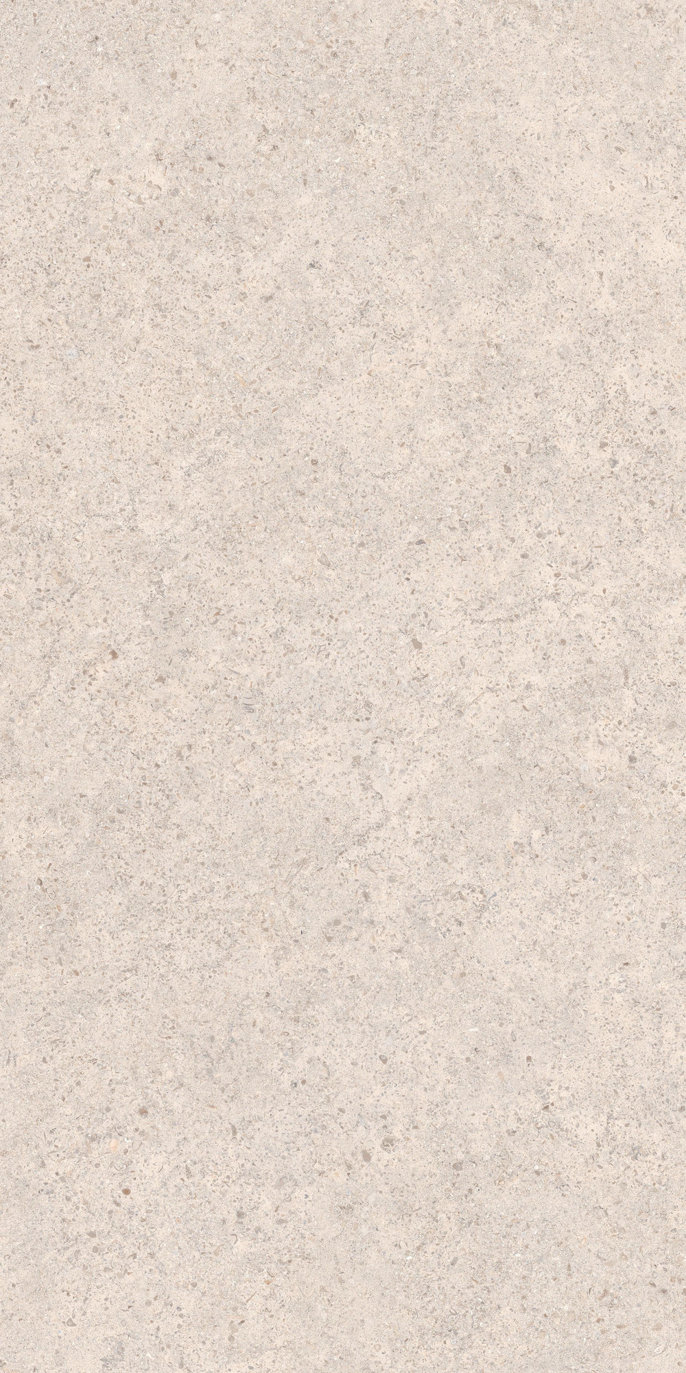 Calcario Collection Matte Light Grey Beige Porcelain Tile