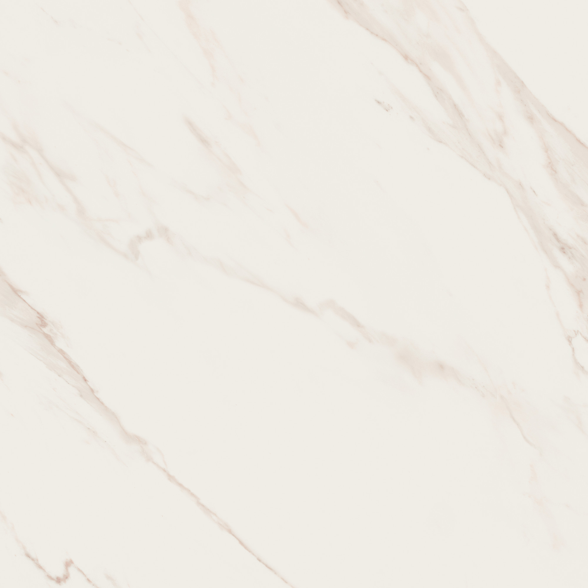 Line Calacatta Satin Polished Cream Floor Tile