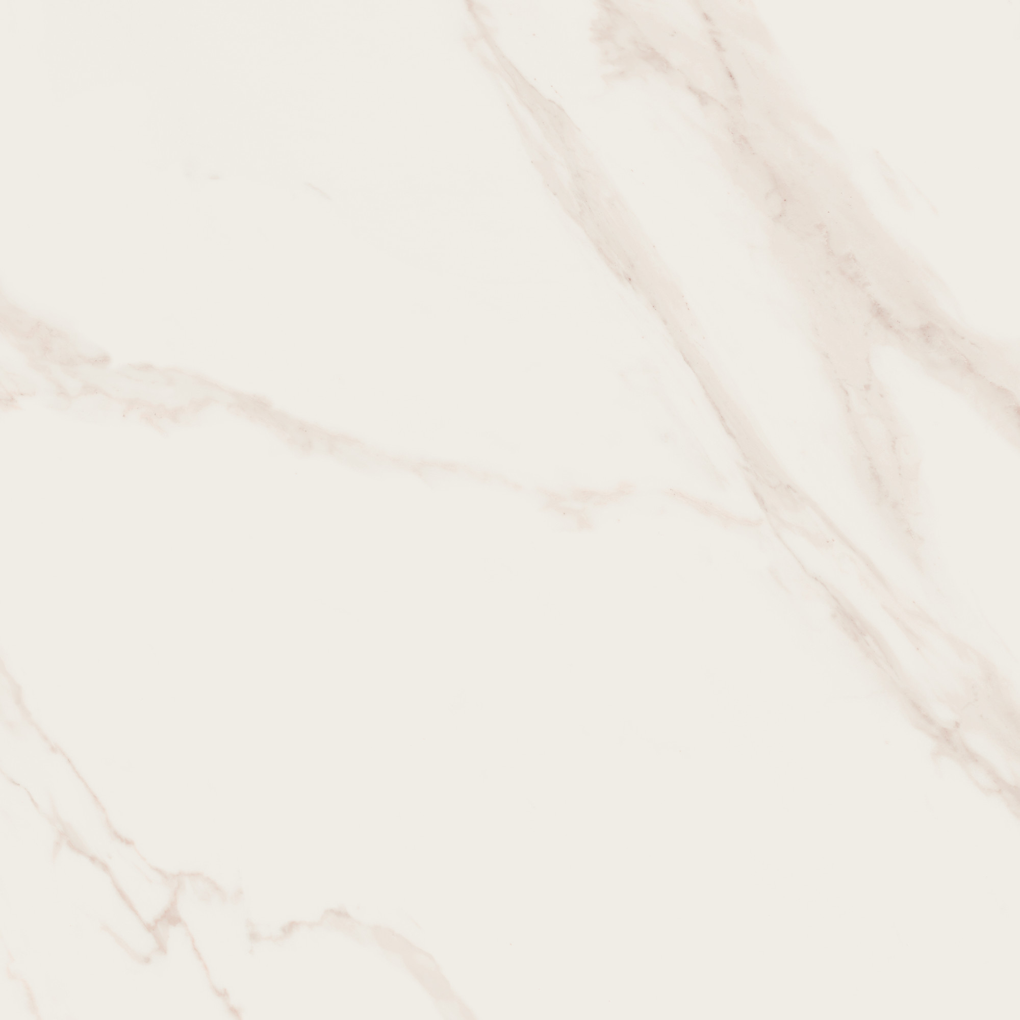 Line Calacatta Satin Polished Cream Floor Tile