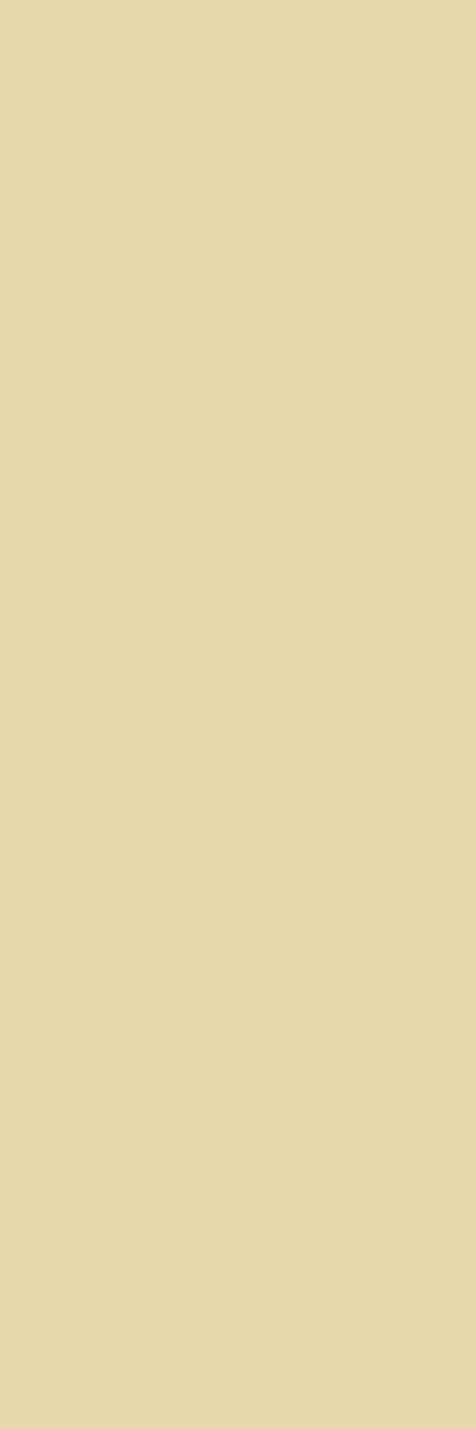 Innovation Matte White Kalesinterflex Porcelain Slab