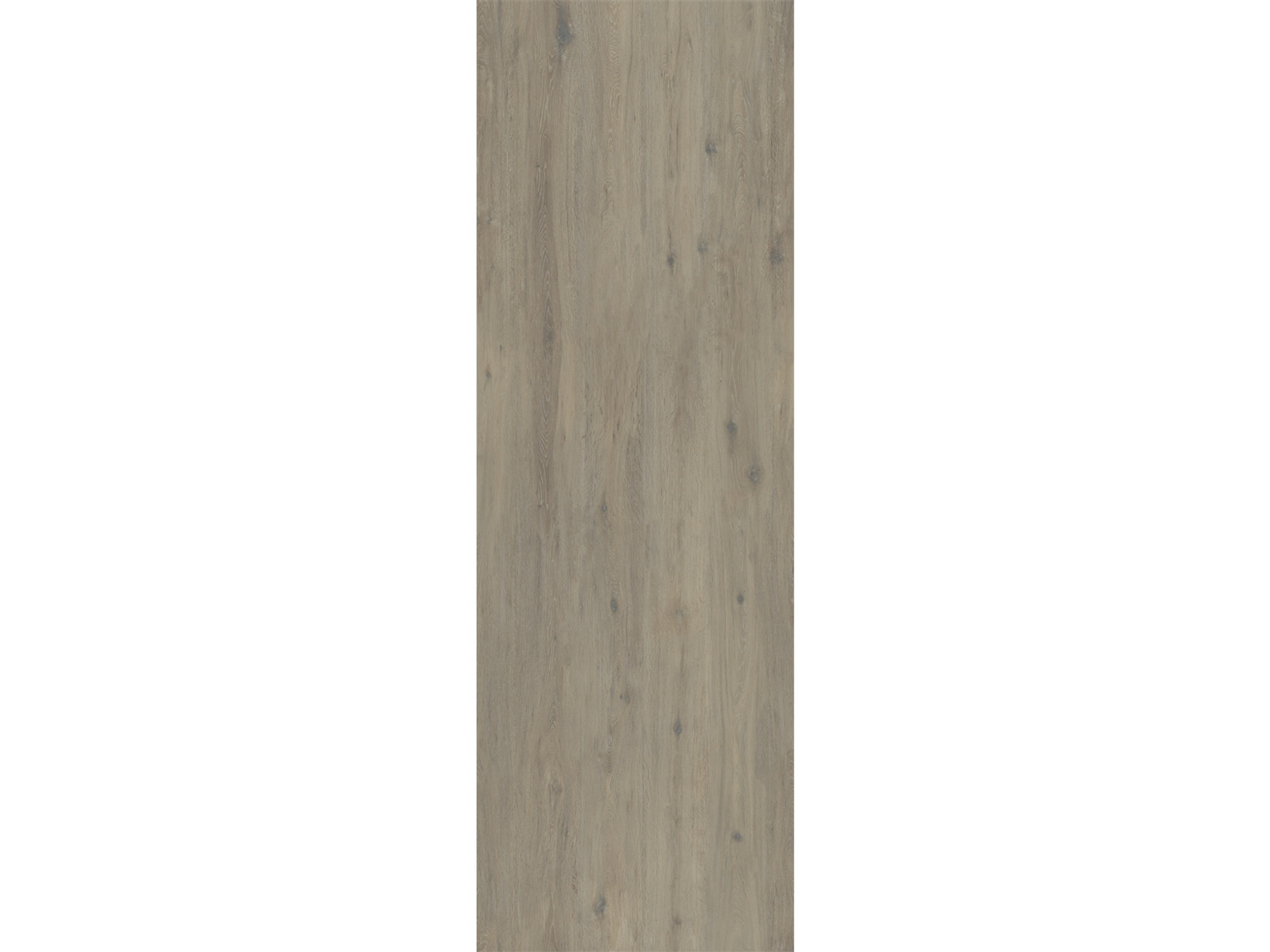 Hollywood Matte Beige Kalesinterflex Porcelain Slab