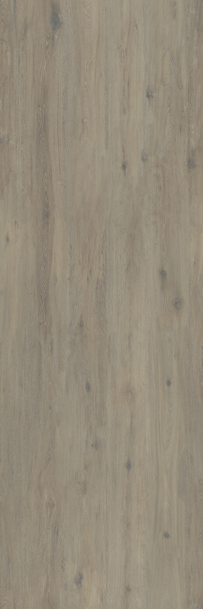 Hollywood Matte Beige Kalesinterflex Porcelain Slab