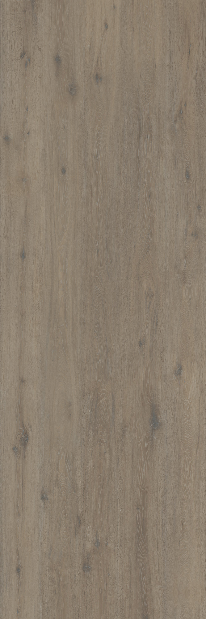 Hollywood Matte Brown Kalesinterflex Porcelain Slab