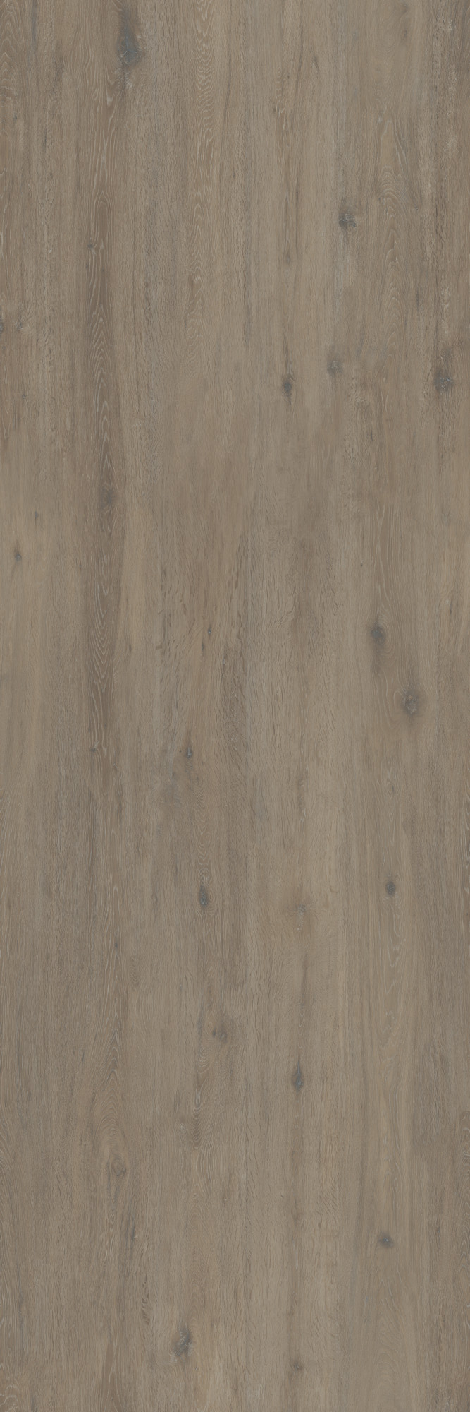Hollywood Matte Brown Kalesinterflex Porcelain Slab