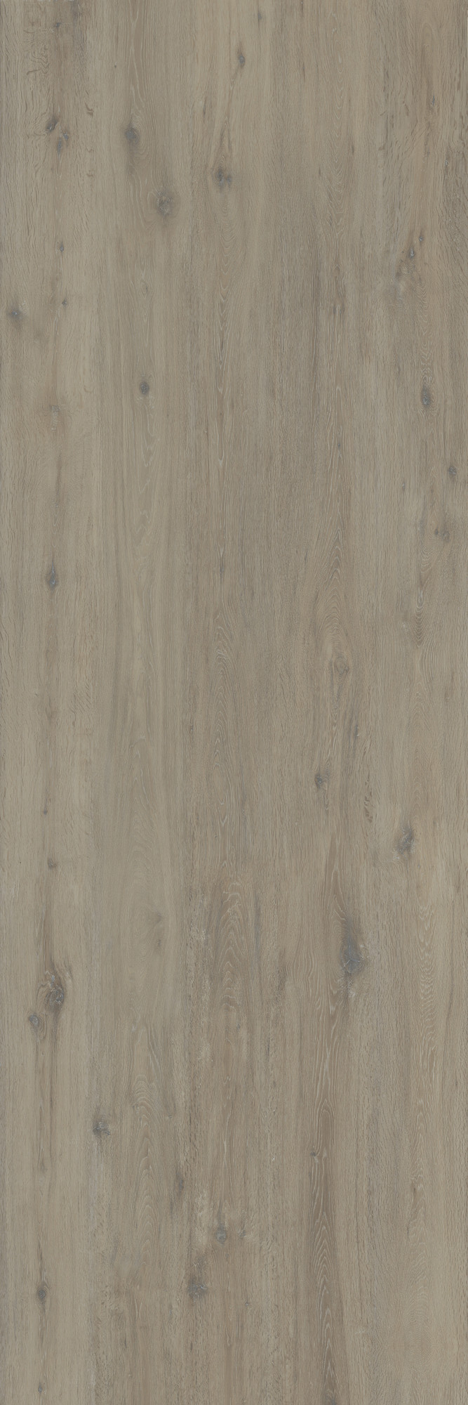 Hollywood Matte Beige Sinterflex Porcelain Tile
