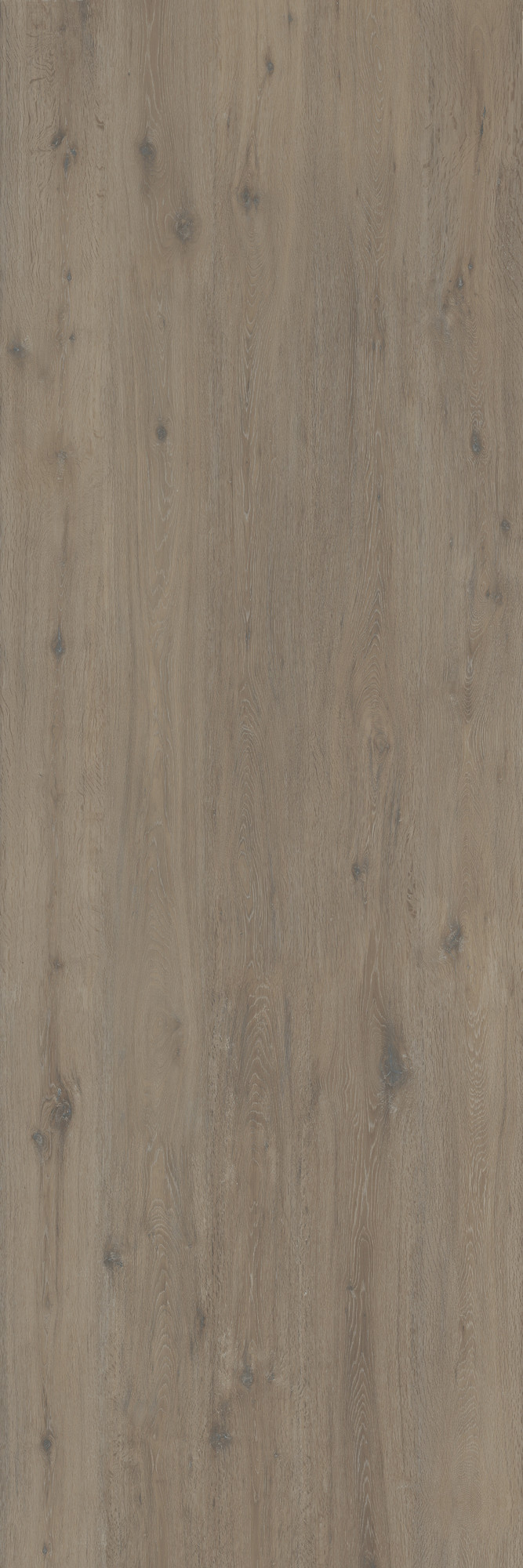 Hollywood Matte Brown Sinterflex Porcelain Tile