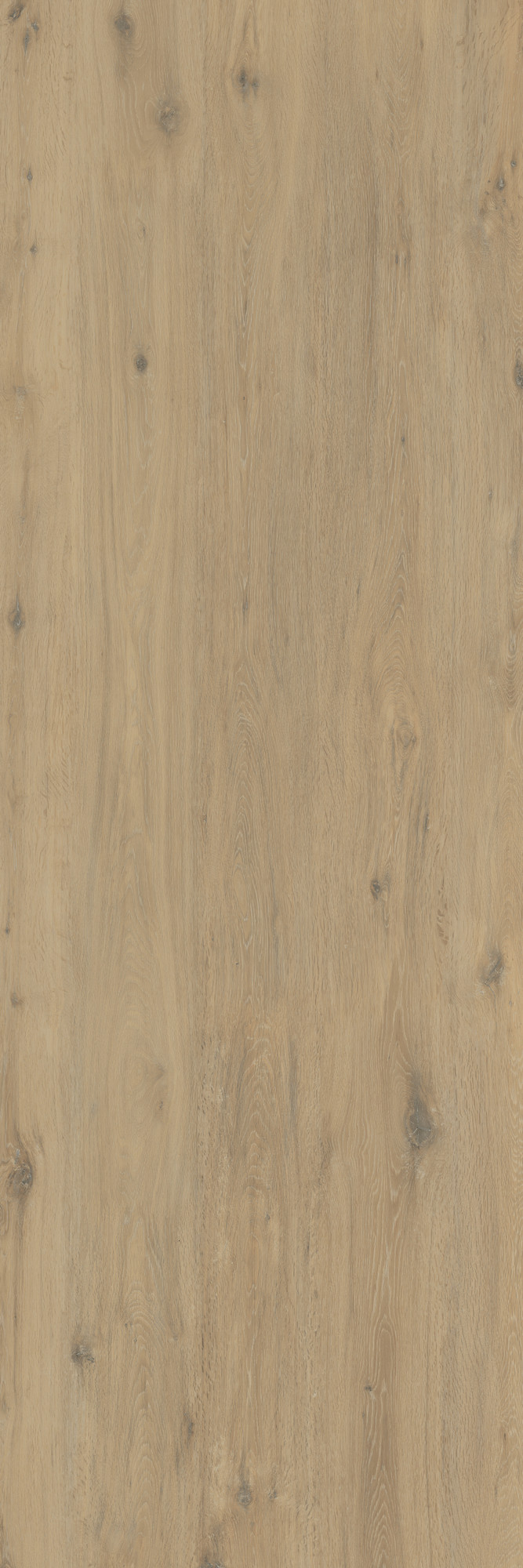 Hollywood Matte Beige Kalesinterflex Porcelain Slab