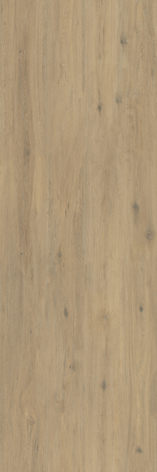 Hollywood Matte Beige Kalesinterflex Porcelain Slab