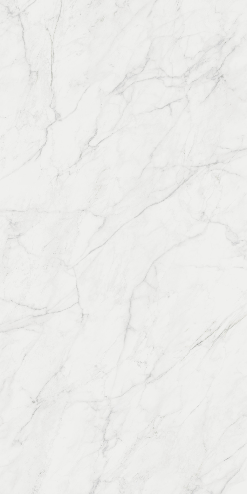 Calacatta Caldia Glossy Kalesinterflex Porcelain Slab 162x323