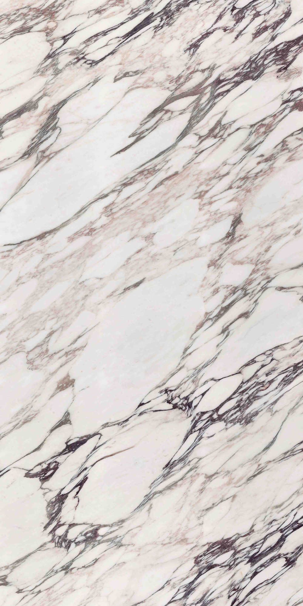 Calacatta Viola Mat Kalesinterflex Porselen Plaka 162x323