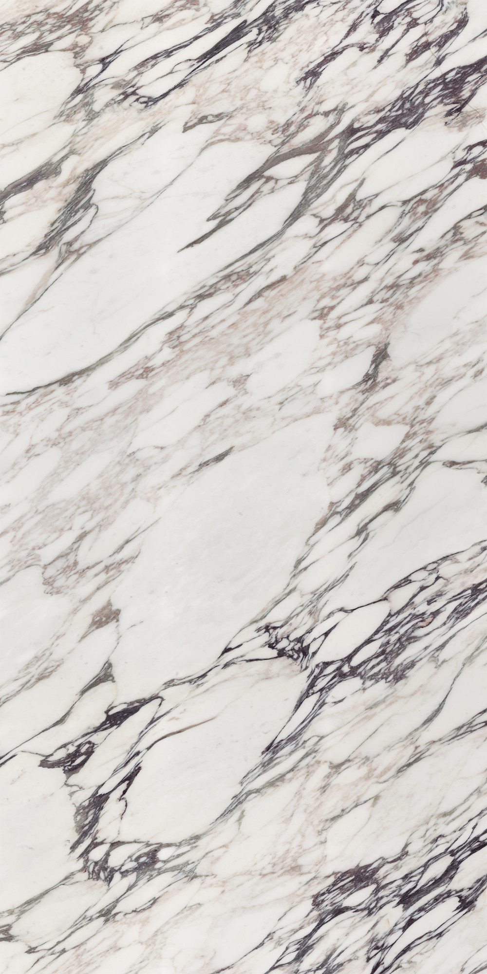 Calacatta Viola Glossy Kalesinterflex Porcelain Slab 162x323