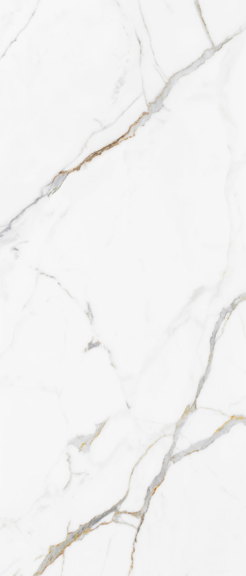 Calacatta Unique Module A Polished Porcelain Tile 120X280