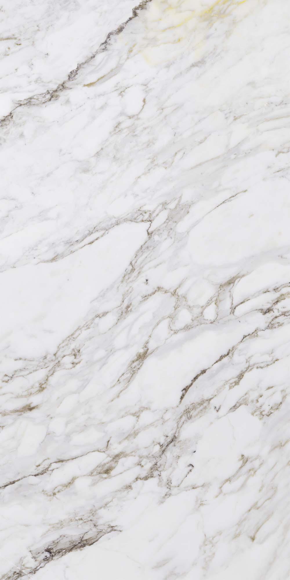 Florence Polished Kalesinterflex Porcelain Slab 162X323