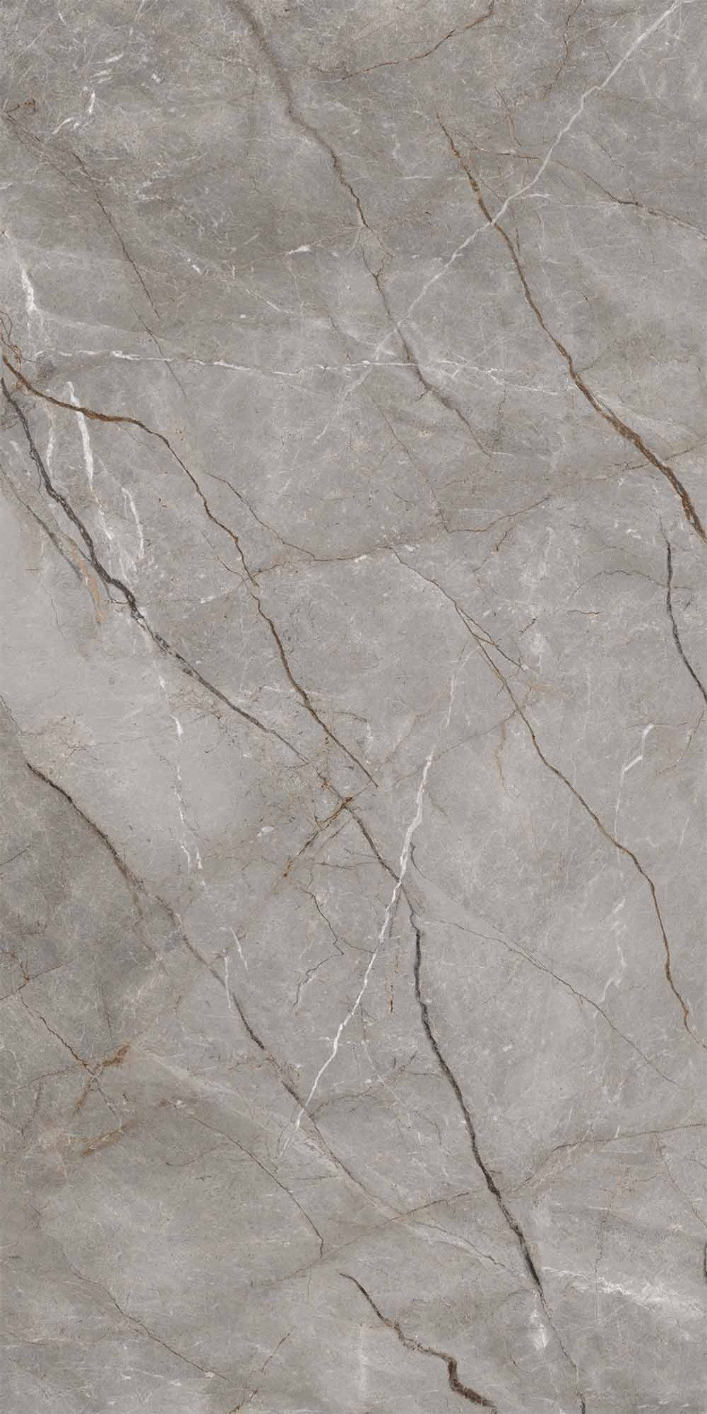 Silver Roots Polished Kalesinterflex Porcelain Slab 162x323