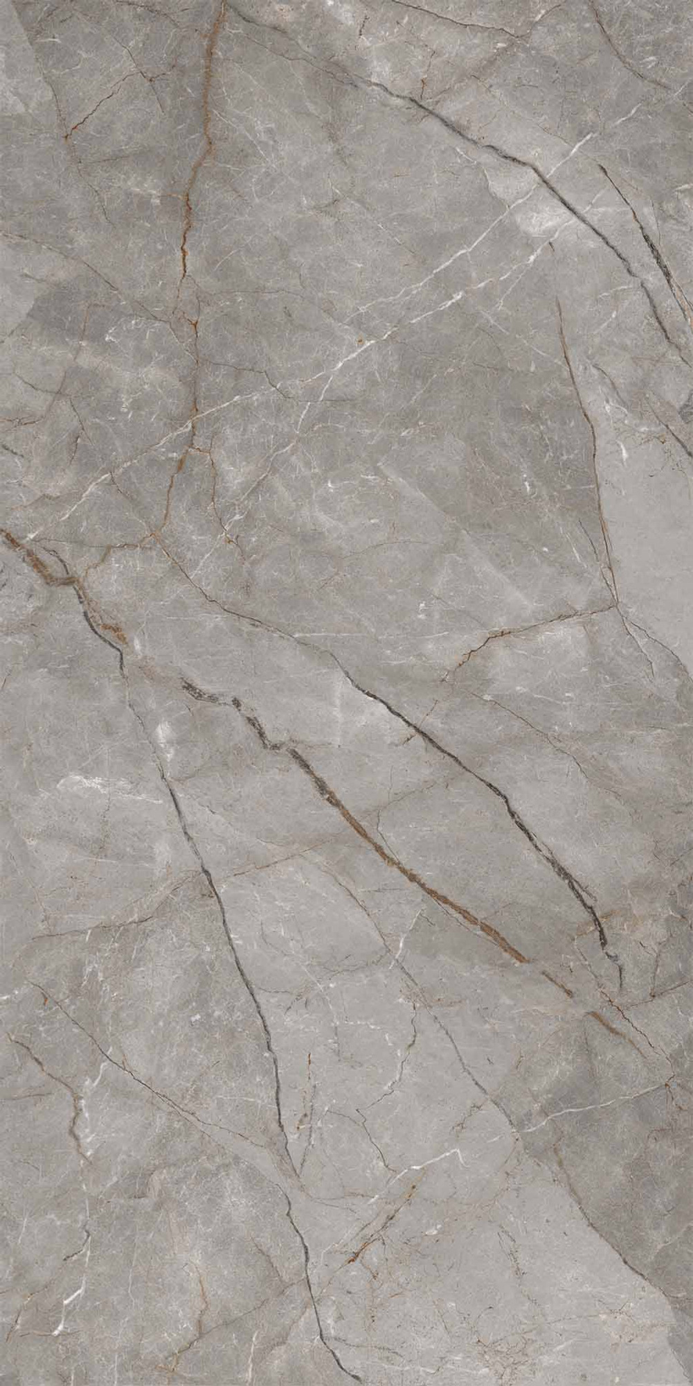 Silver Roots Mat Kalesinterflex Porselen Plaka 162x323